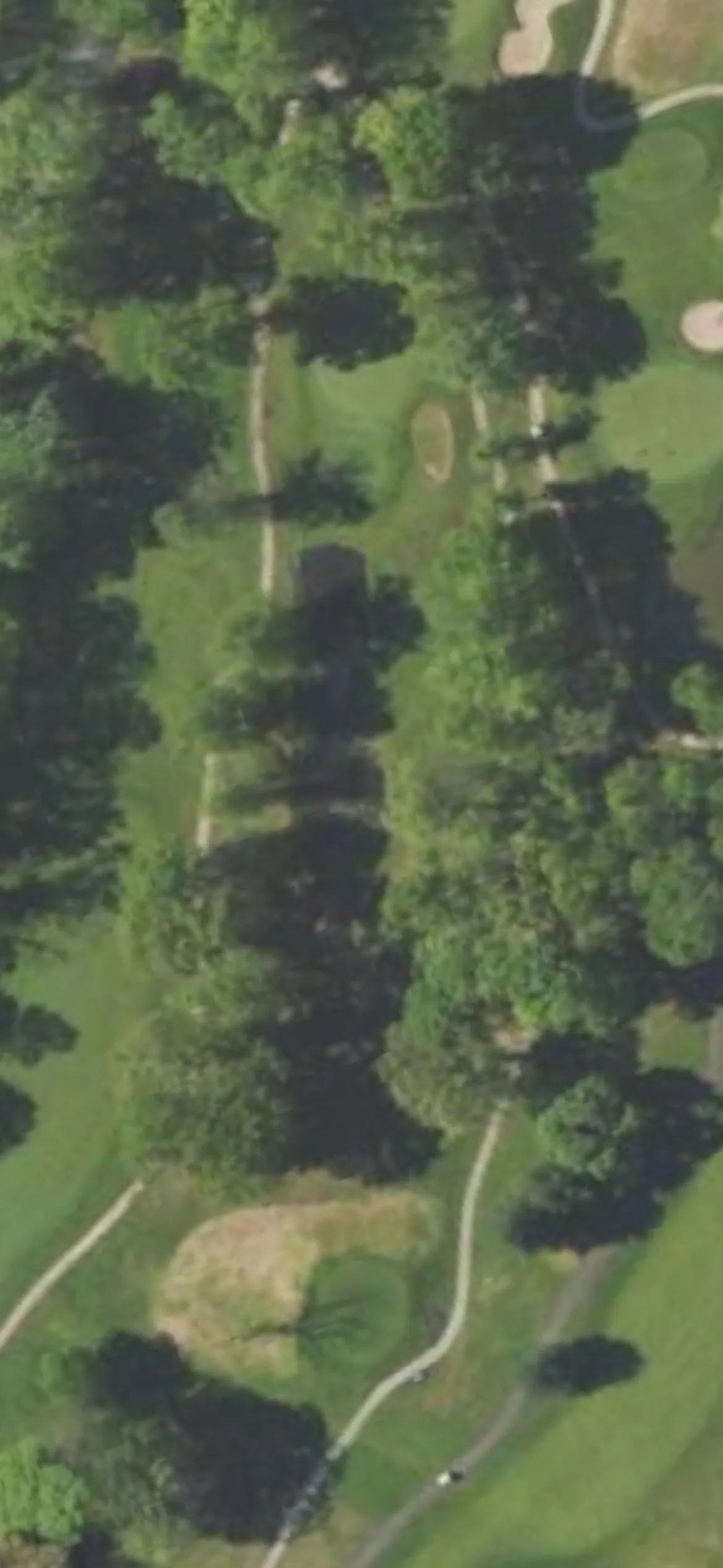 The Club at Shannondell hole 16 aerial preview, par 3, 191 yards