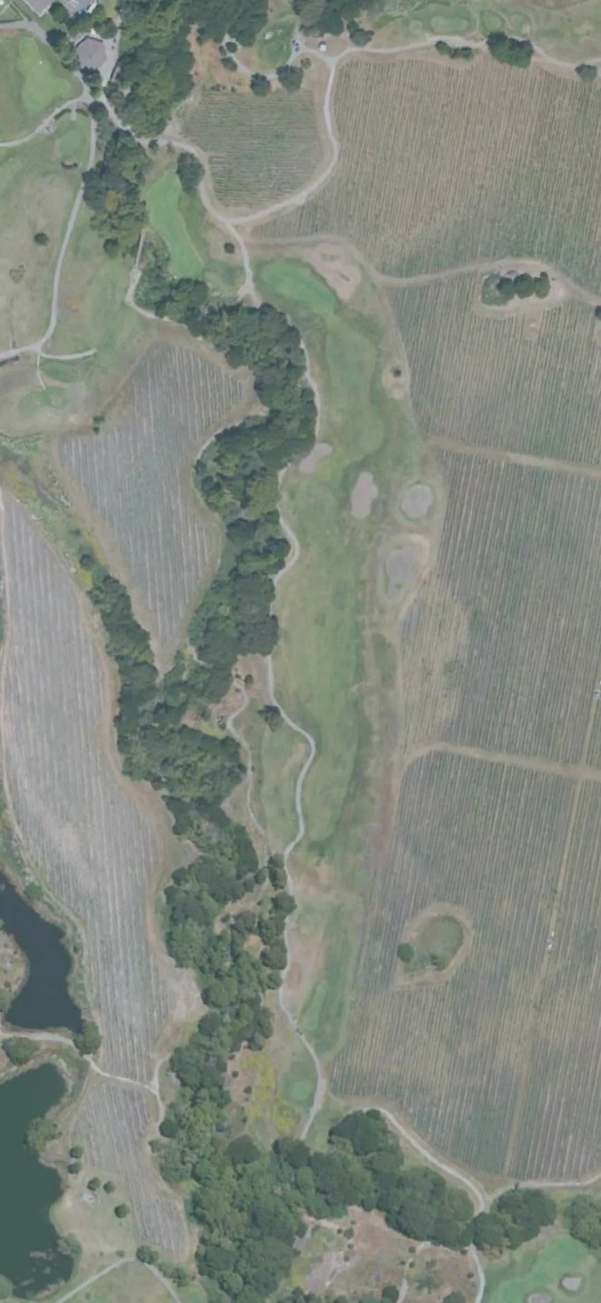 Chardonnay GC hole 9 aerial preview, par 5, 549 yards