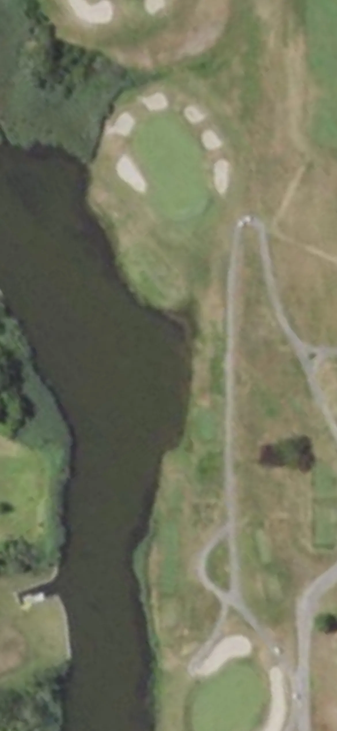 Bellport Golf Club hole 12 aerial preview, par 3, 180 yards