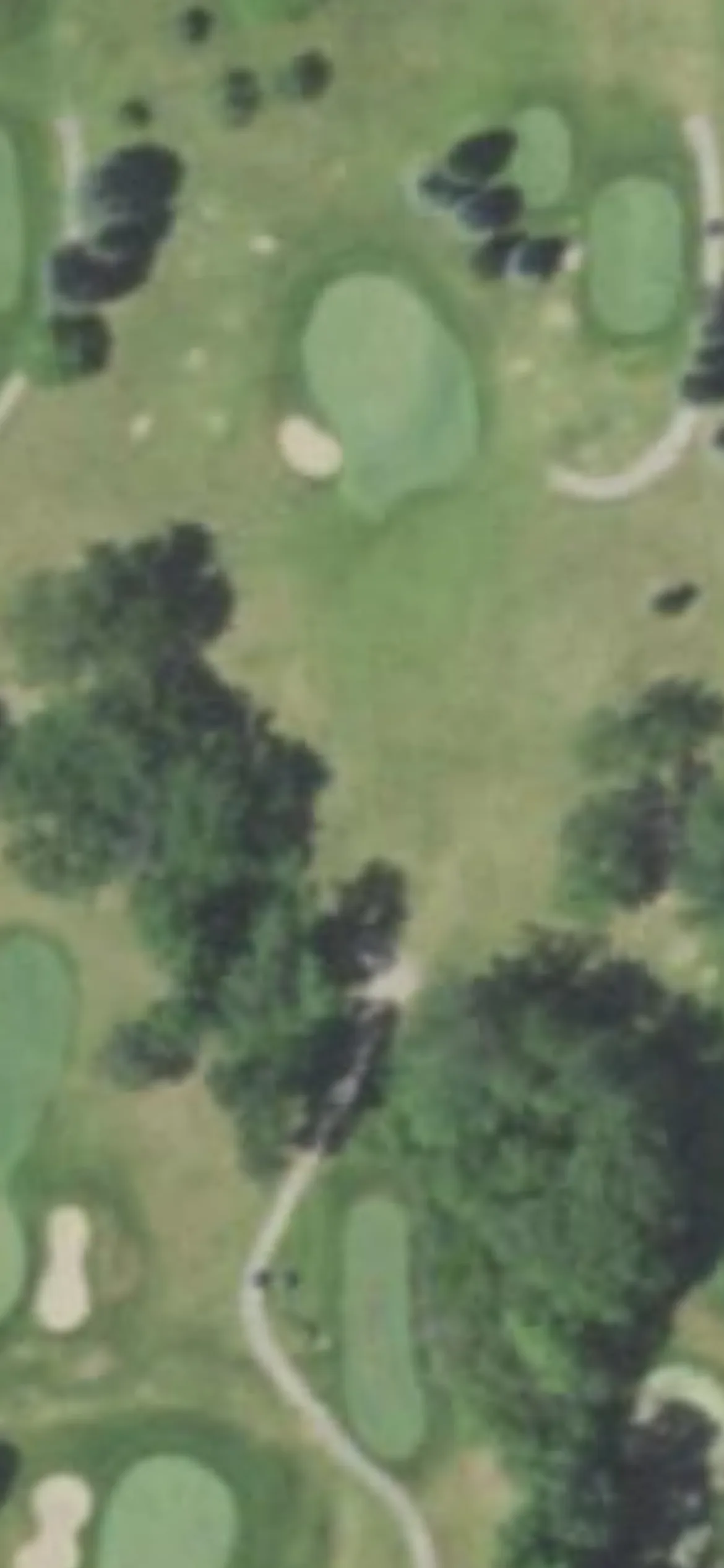 Meadowbrook Country Club hole 17 aerial preview, par 3, 159 yards