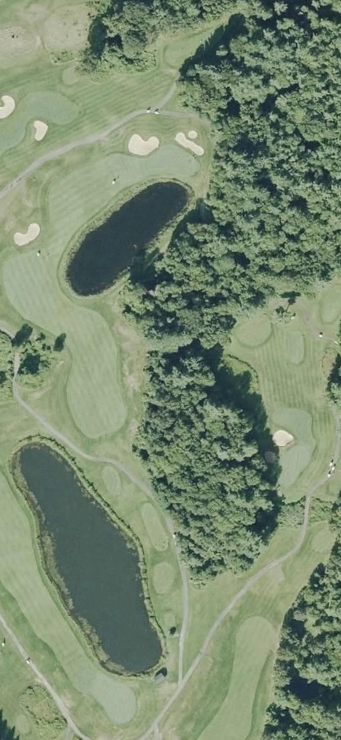 Olde Scotland Links hole 15 aerial preview, par 4, 389 yards