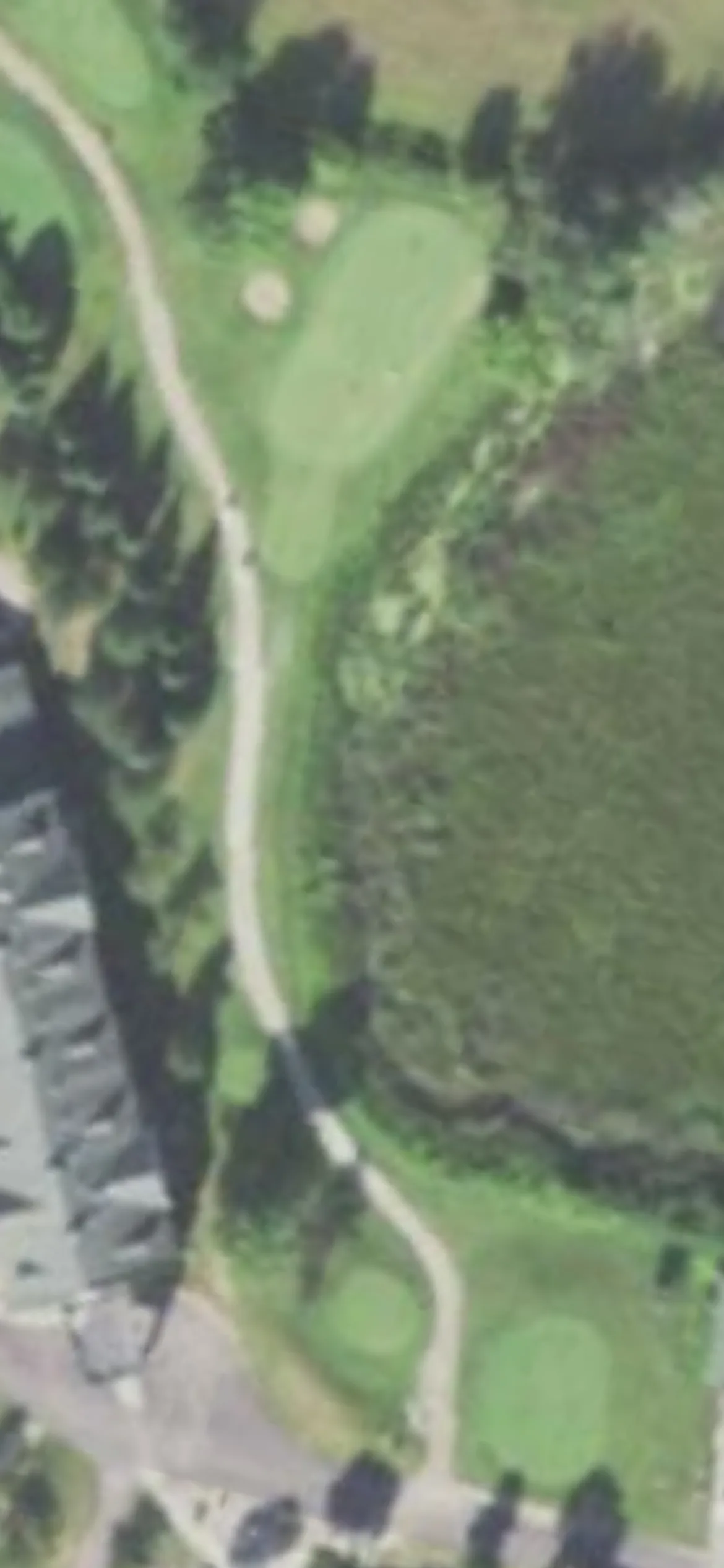Par 4 Resort - Foxfire Golf Club hole 3 aerial preview, par 3, 150 yards