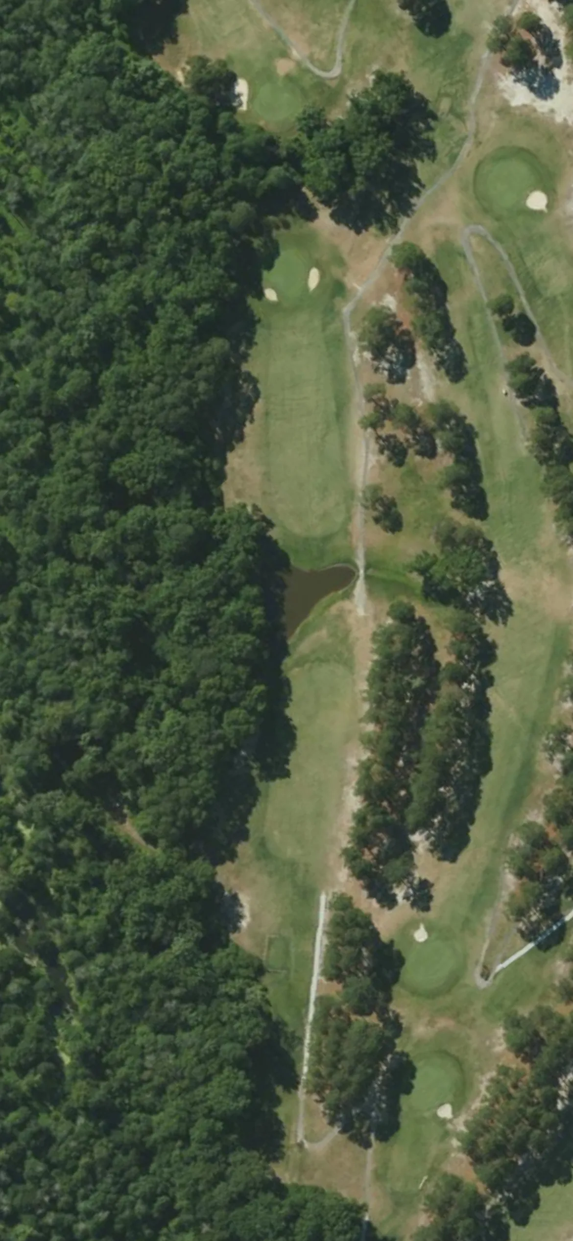 Southern Wayne CC hole 17 aerial preview, par 5, 497 yards