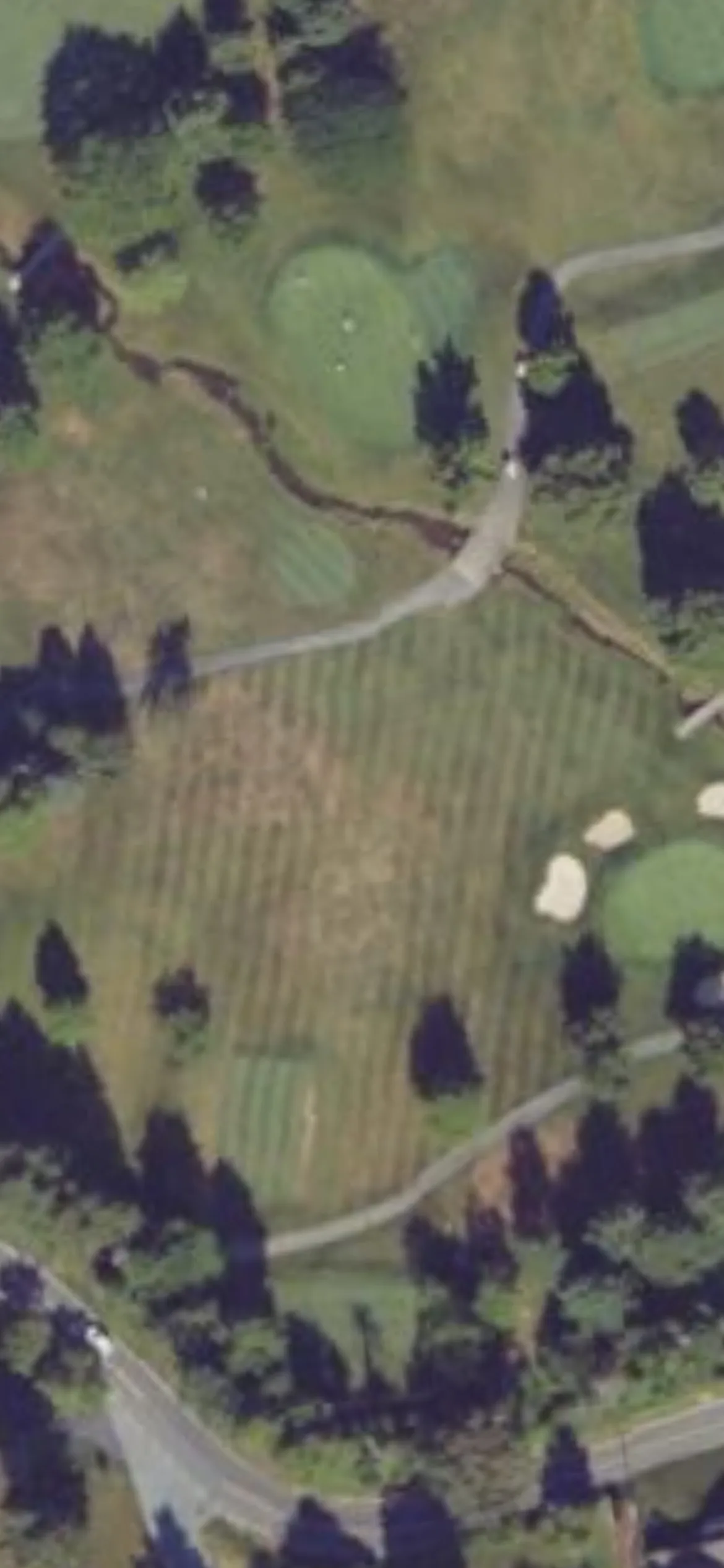 Colonial Golf & Tennis Club hole 5 aerial preview, par 3, 163 yards