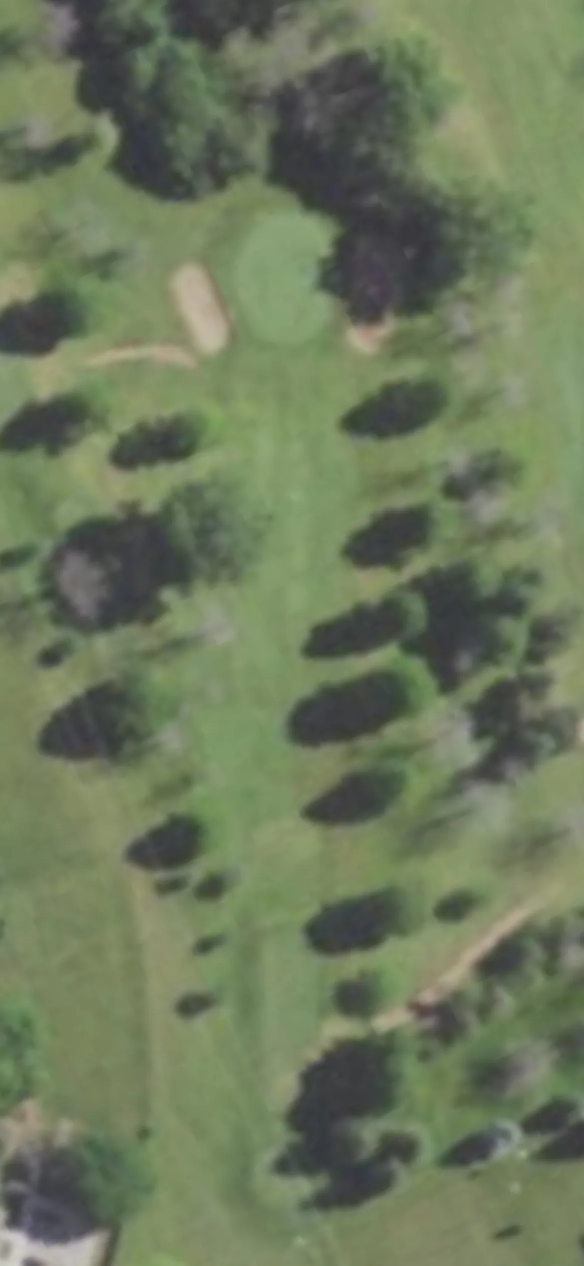 Westhaven Golf Club hole 8 aerial preview, par 3, 182 yards