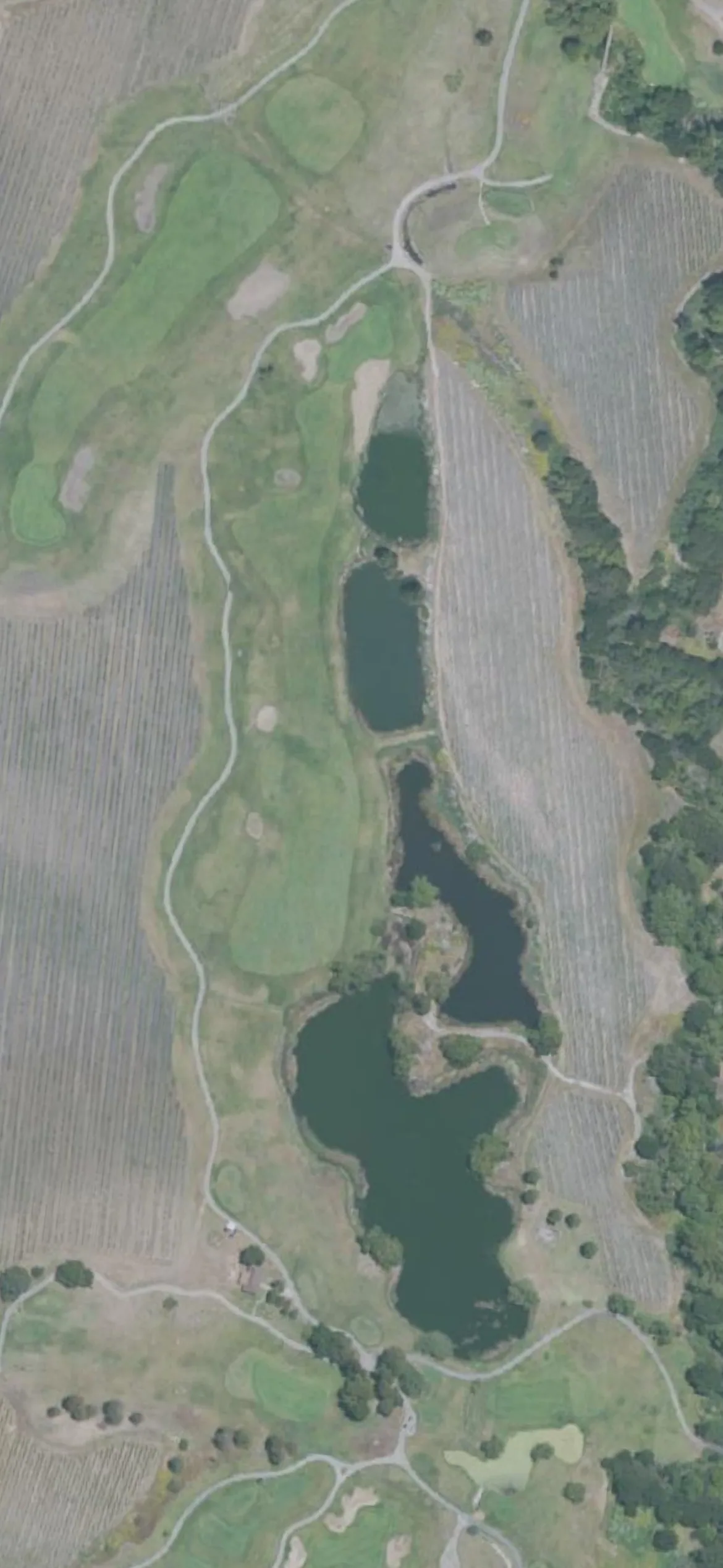 Chardonnay GC hole 4 aerial preview, par 5, 546 yards