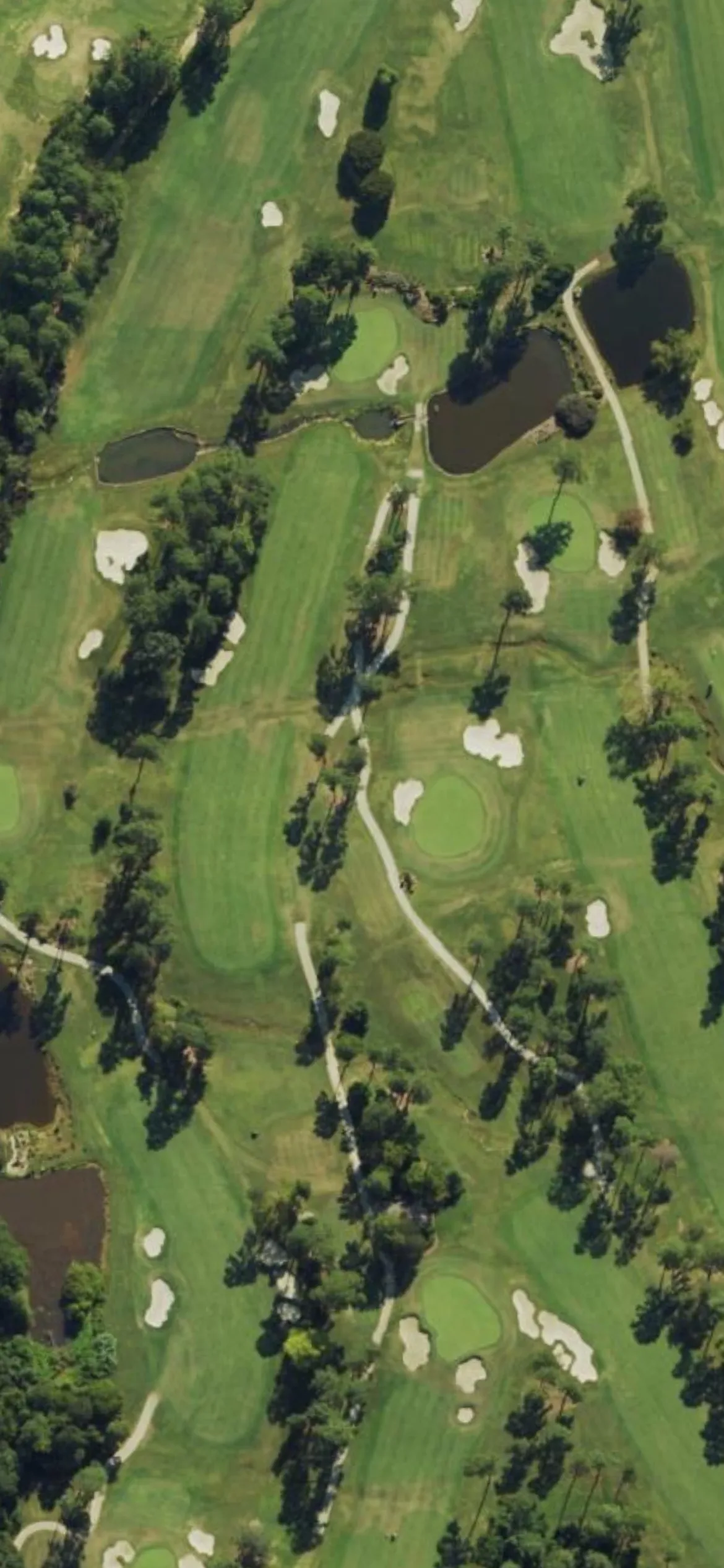 Raleigh CC hole 5 aerial preview, par 4, 406 yards