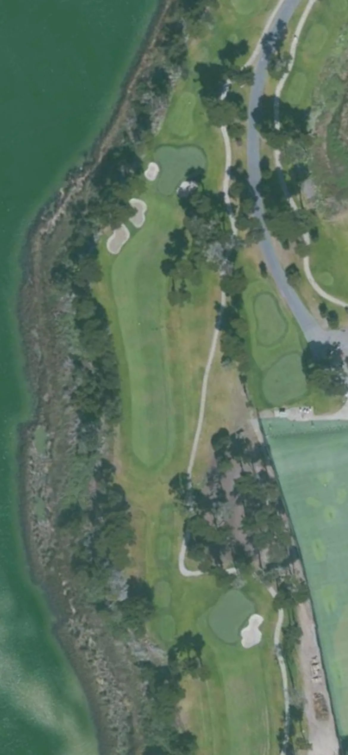 TPC Harding Park GC hole 16 aerial preview, par 4, 336 yards