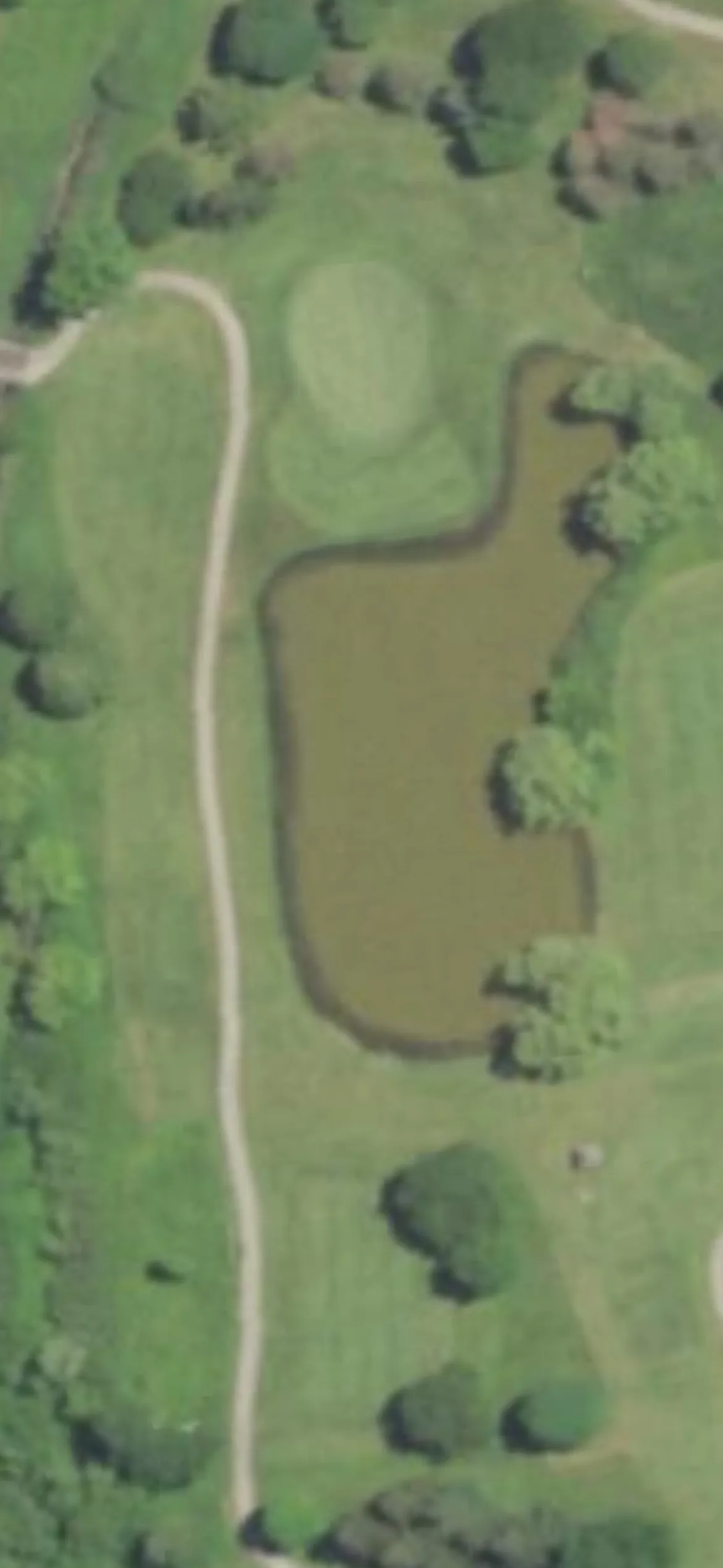 Oakwood Park Golf Course hole 8 aerial preview, par 3, 190 yards
