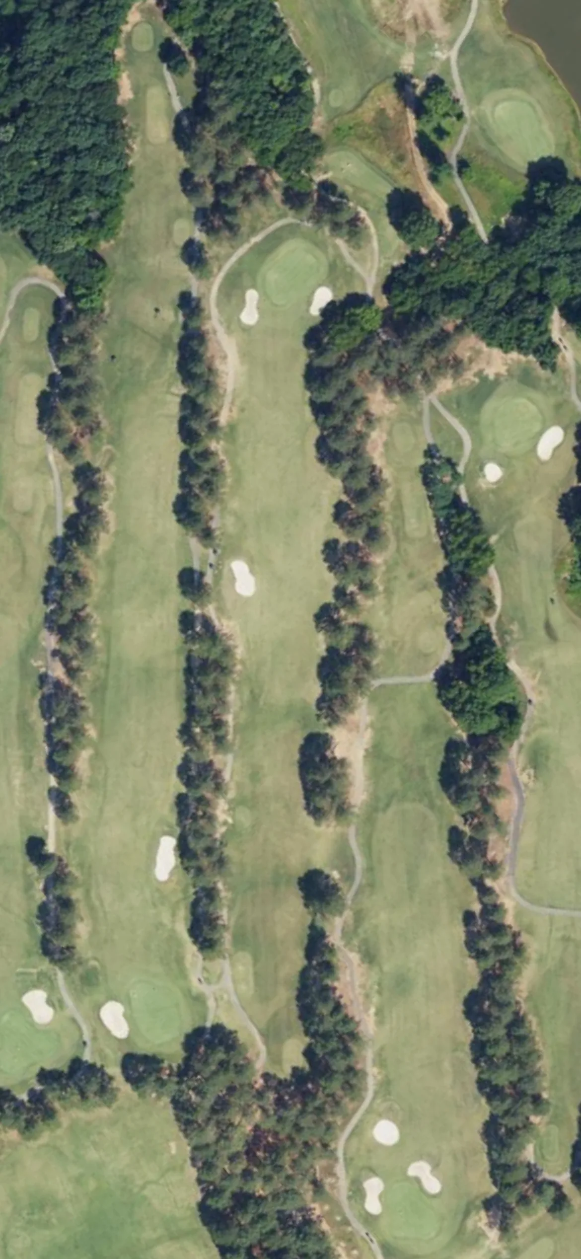 Eagle Chase GC hole 8 aerial preview, par 4, 405 yards