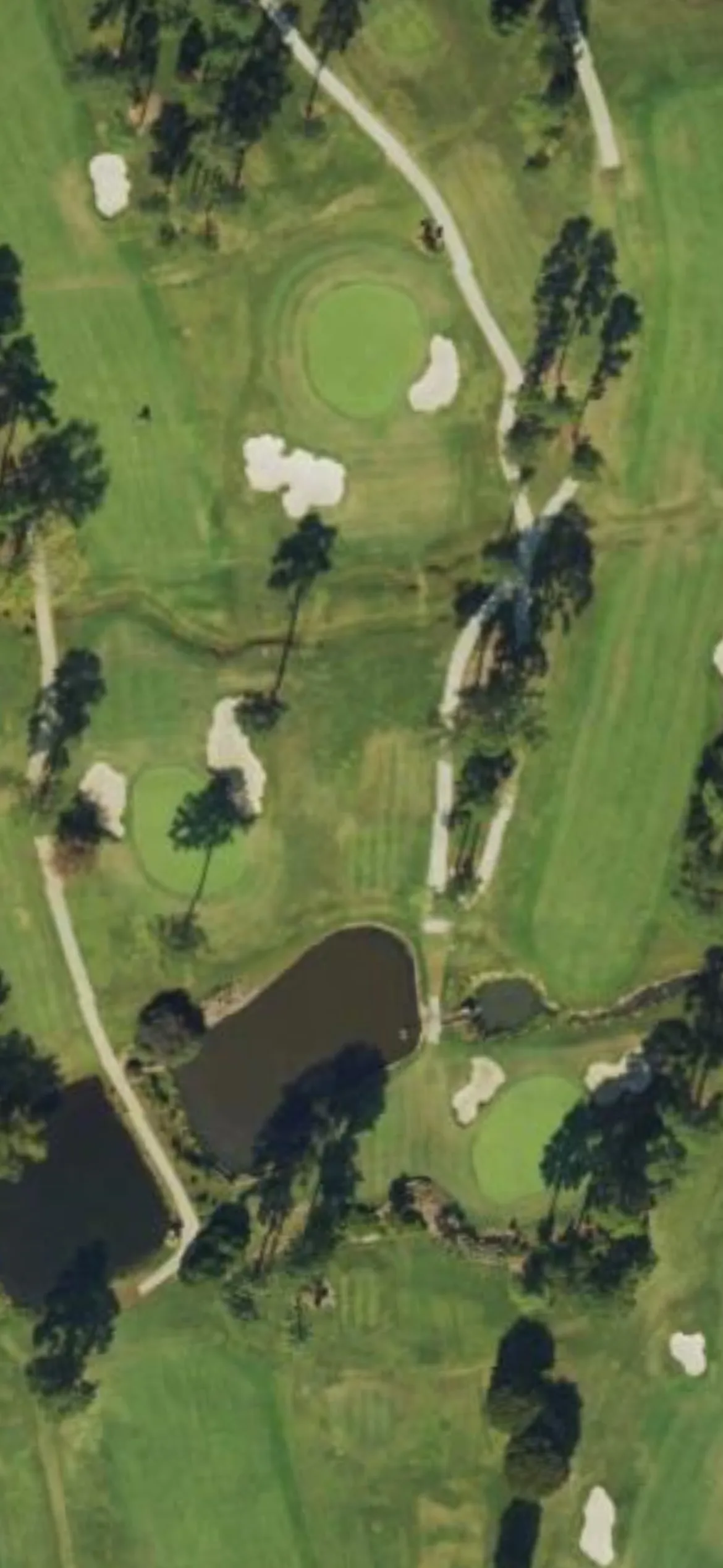 Raleigh CC hole 6 aerial preview, par 3, 258 yards