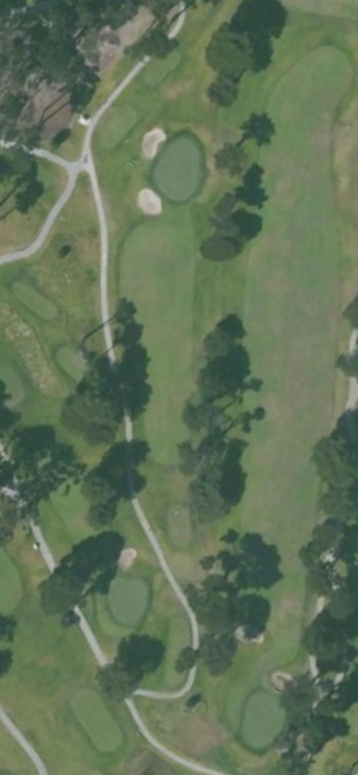 TPC Harding Park GC - Fleming hole 5 aerial preview, par 3, 226 yards