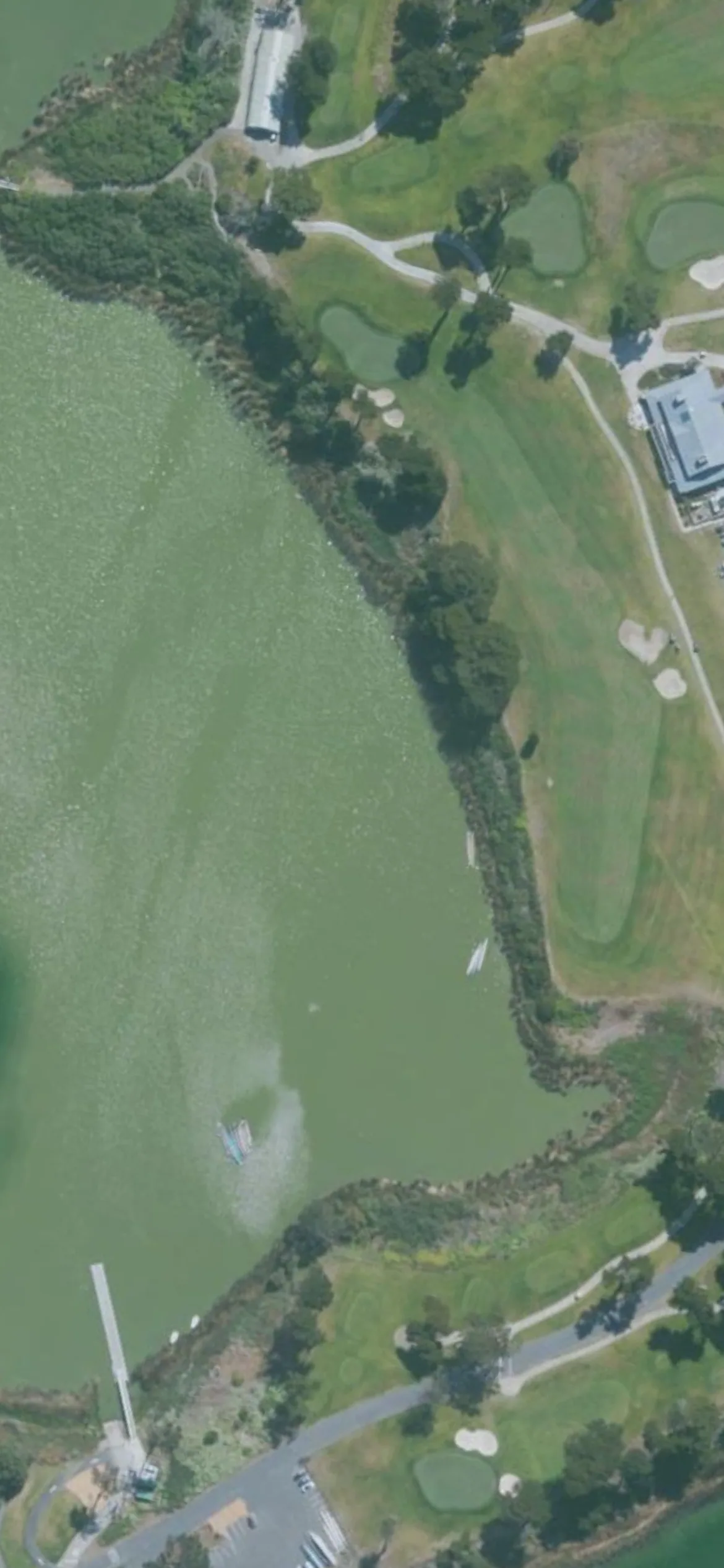 TPC Harding Park GC hole 18 aerial preview, par 4, 466 yards