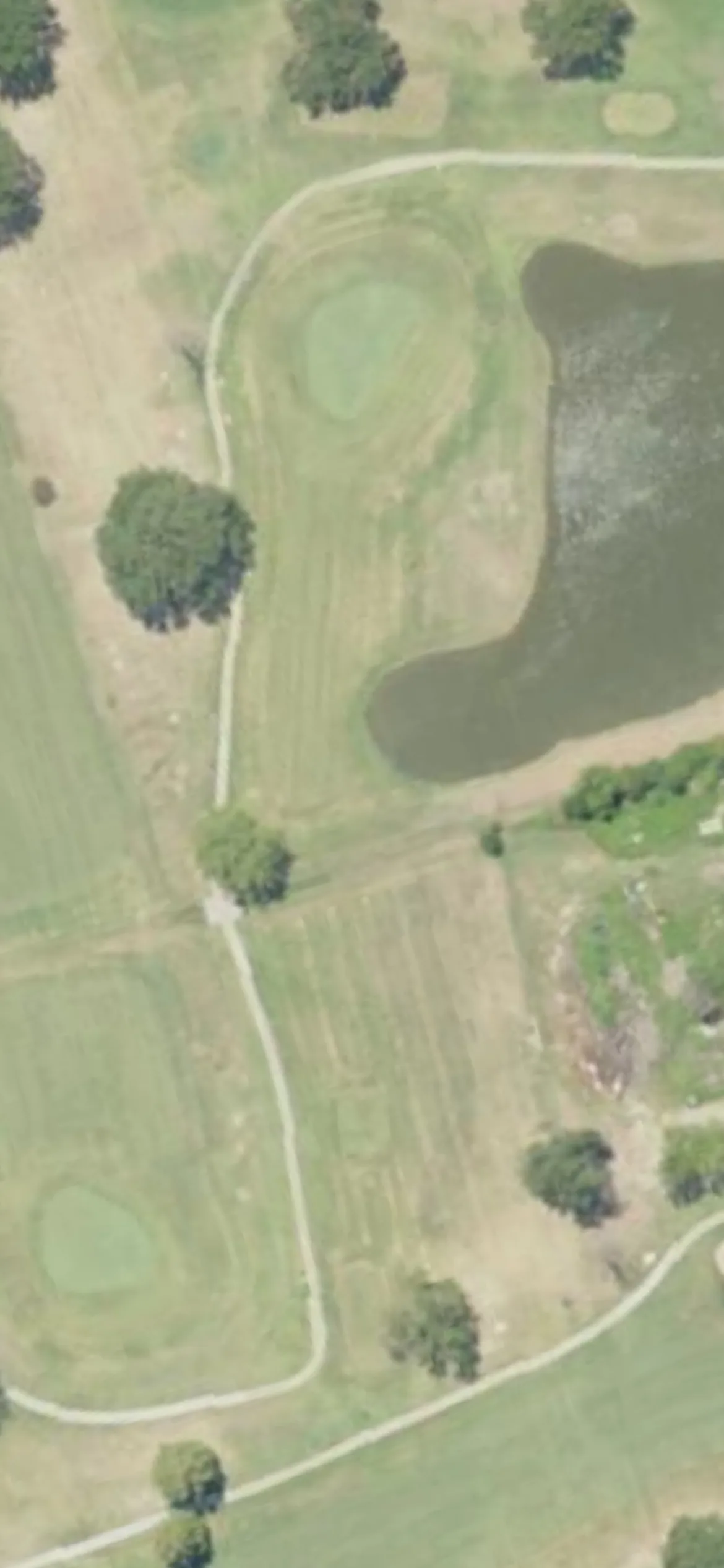 Greenville Country Club hole 8 aerial preview, par 3, 215 yards