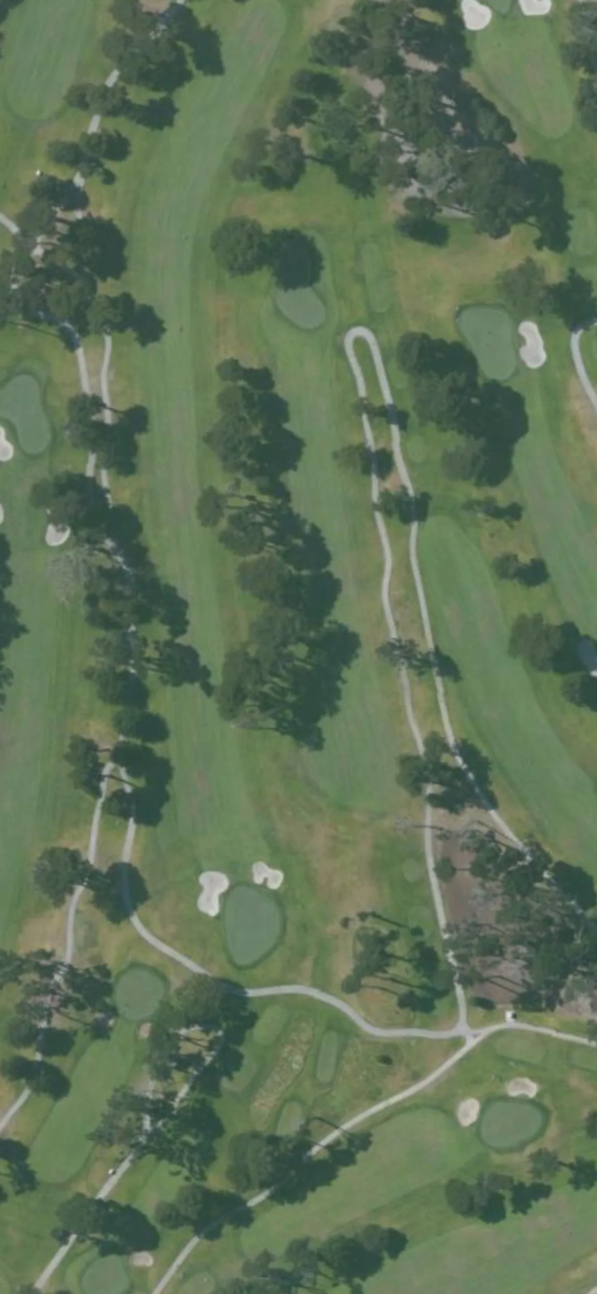 TPC Harding Park GC hole 5 aerial preview, par 4, 435 yards