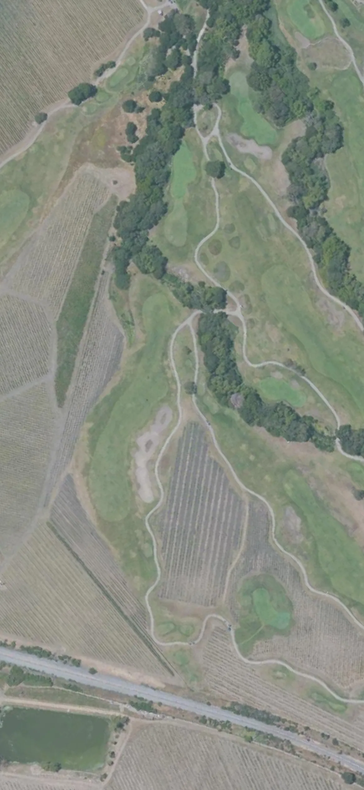Chardonnay GC hole 15 aerial preview, par 5, 564 yards