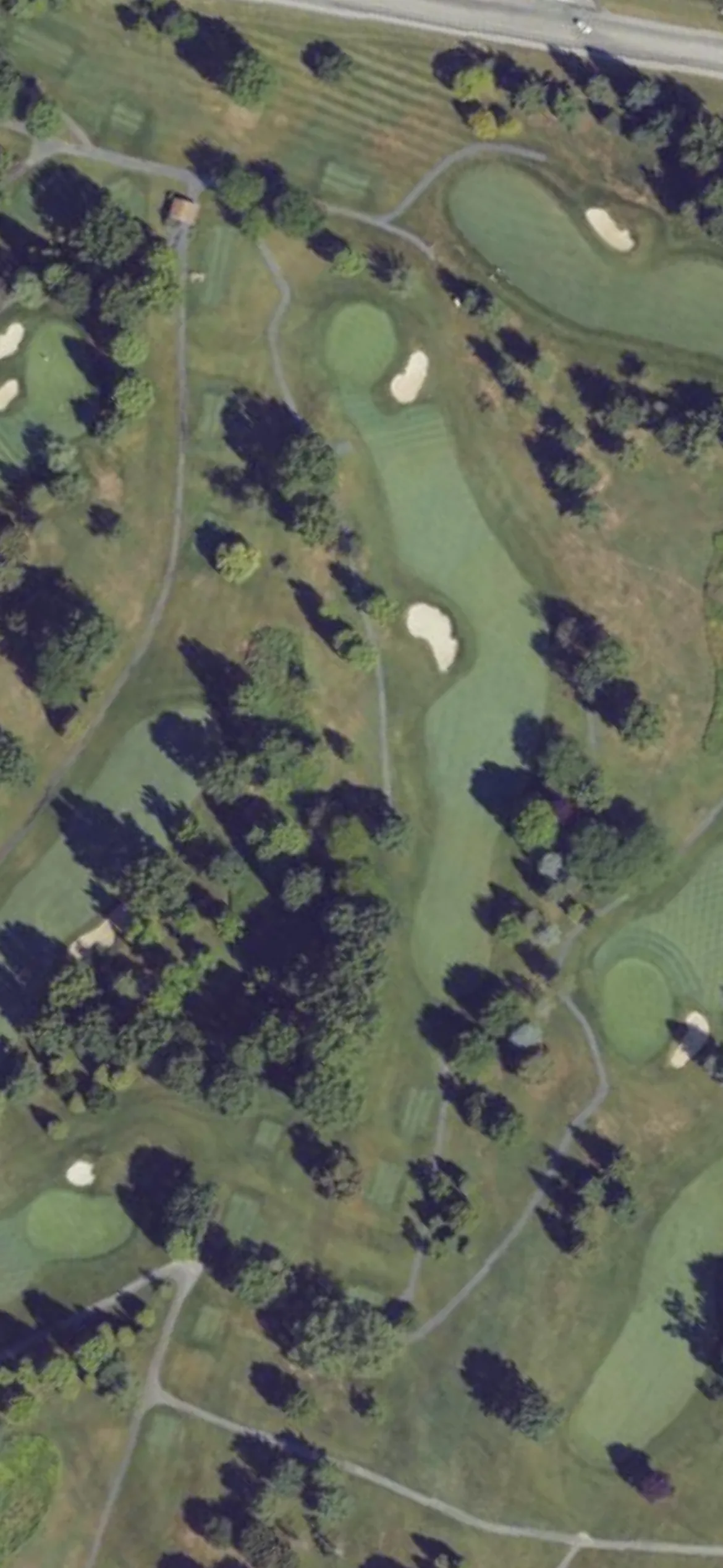 Colonial Golf & Tennis Club hole 8 aerial preview, par 4, 362 yards