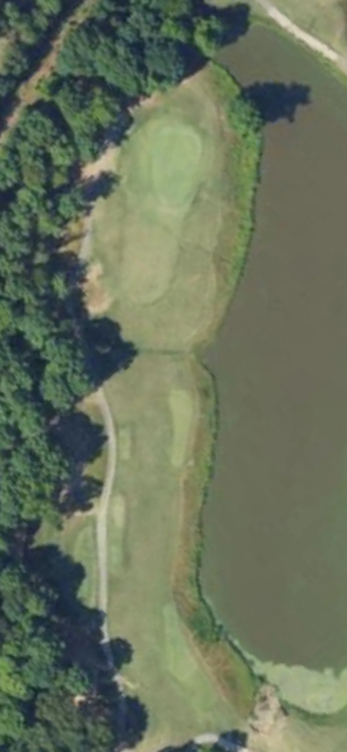 Eagle Chase GC hole 12 aerial preview, par 3, 182 yards
