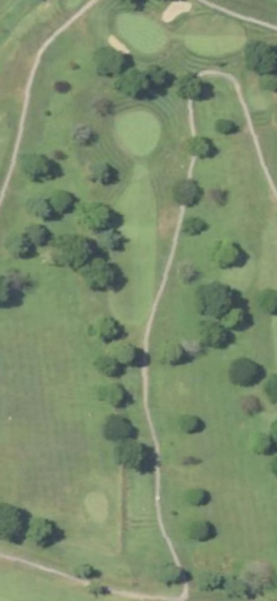 Tamarack Country Club hole 11 aerial preview, par 3, 242 yards