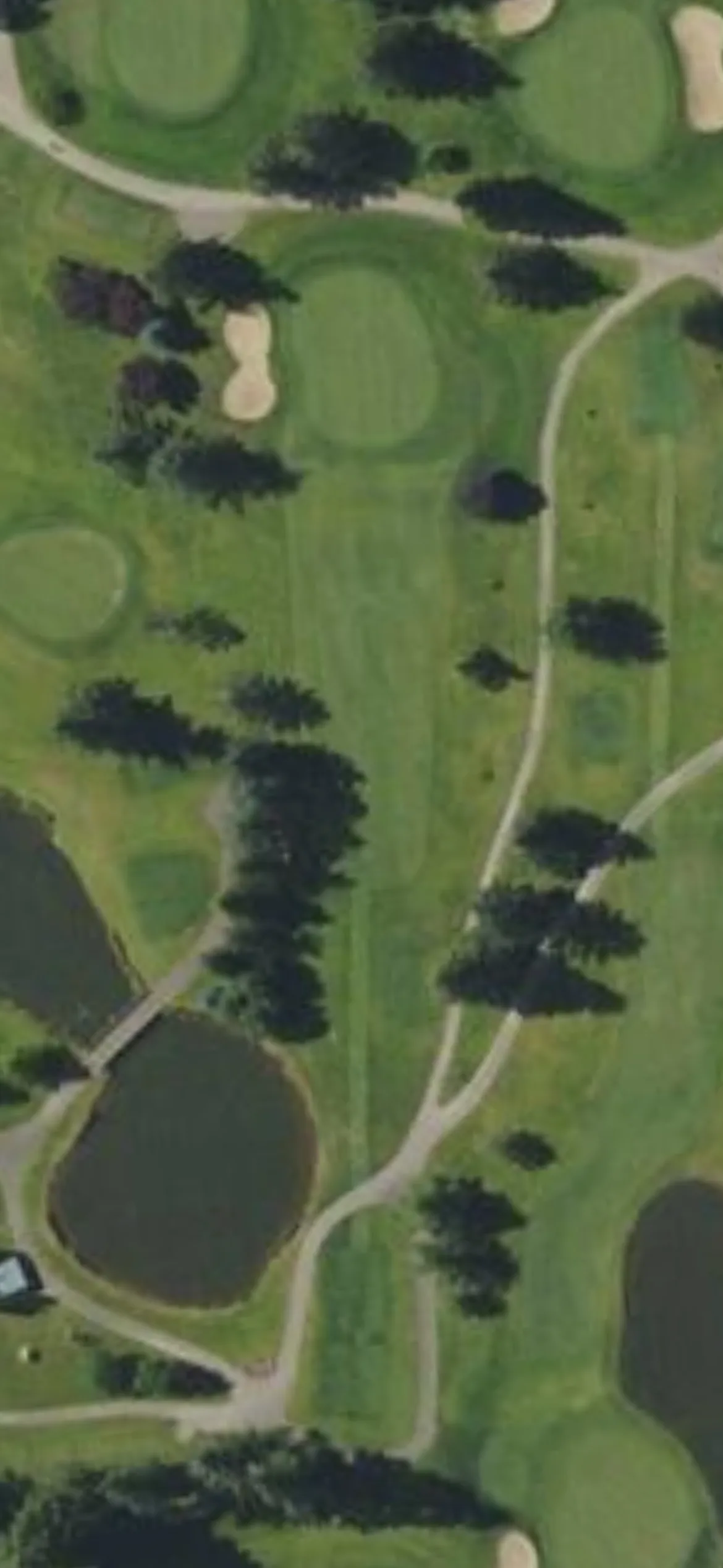 Corvallis Club hole 2 aerial preview, par 3, 174 yards