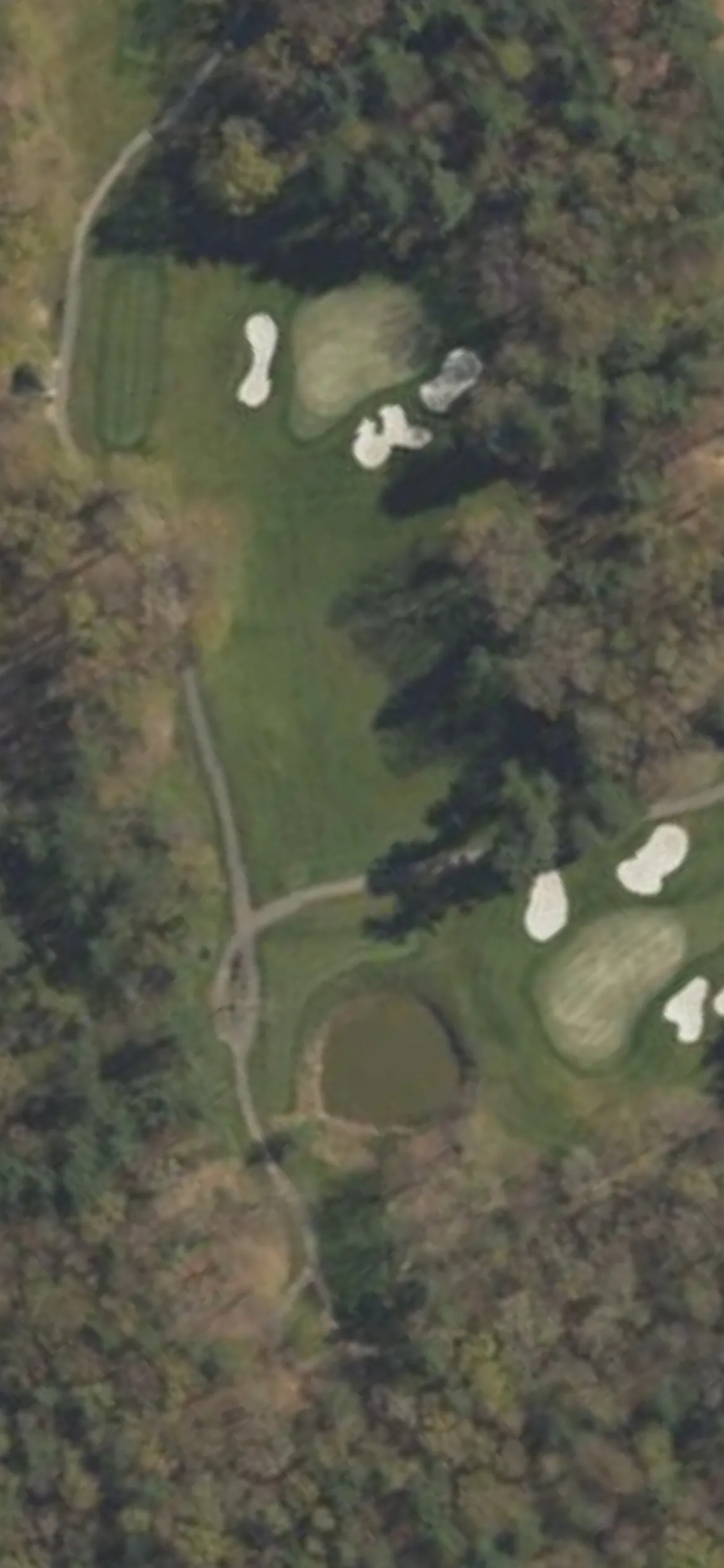 Toftrees Golf Resort hole 6 aerial preview, par 3, 207 yards