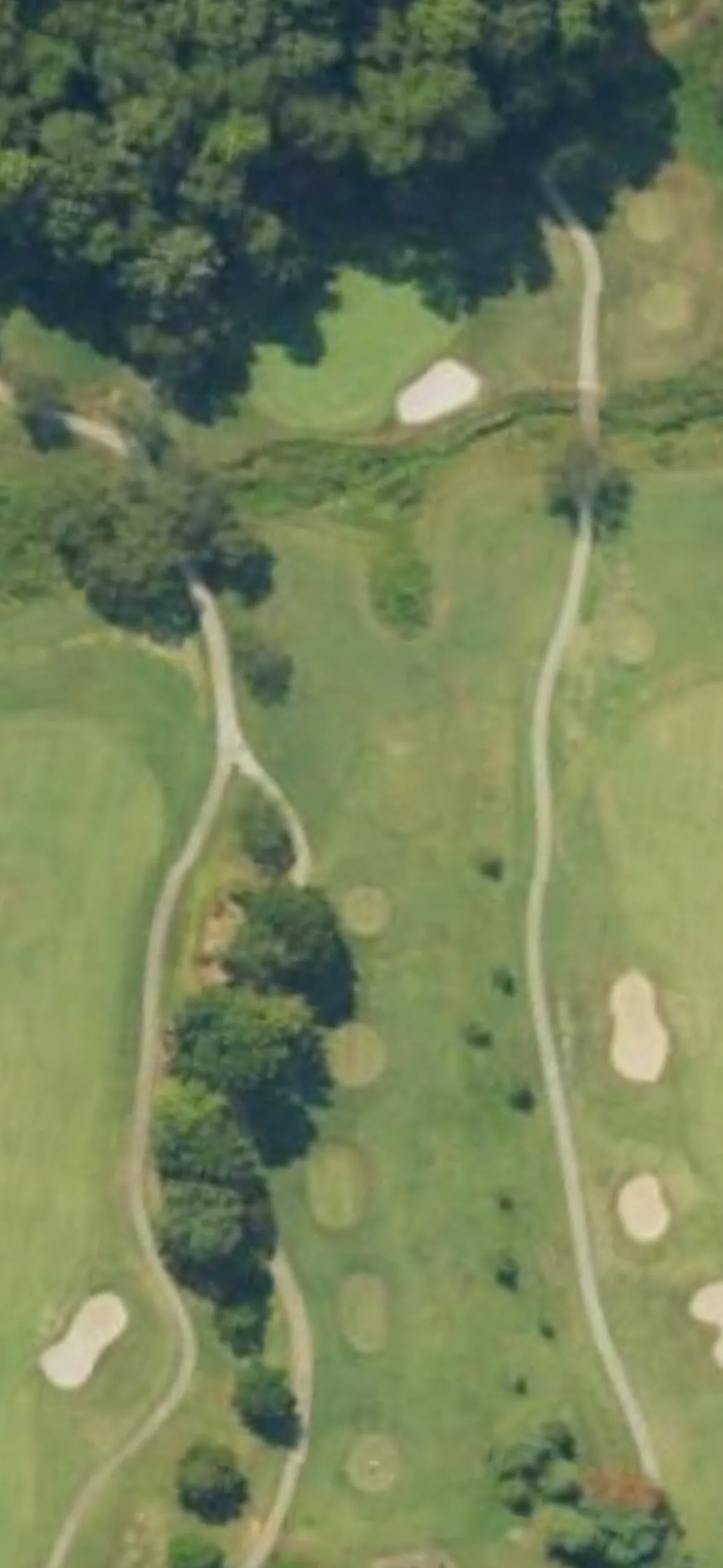 Salem Glen CC hole 17 aerial preview, par 3, 194 yards