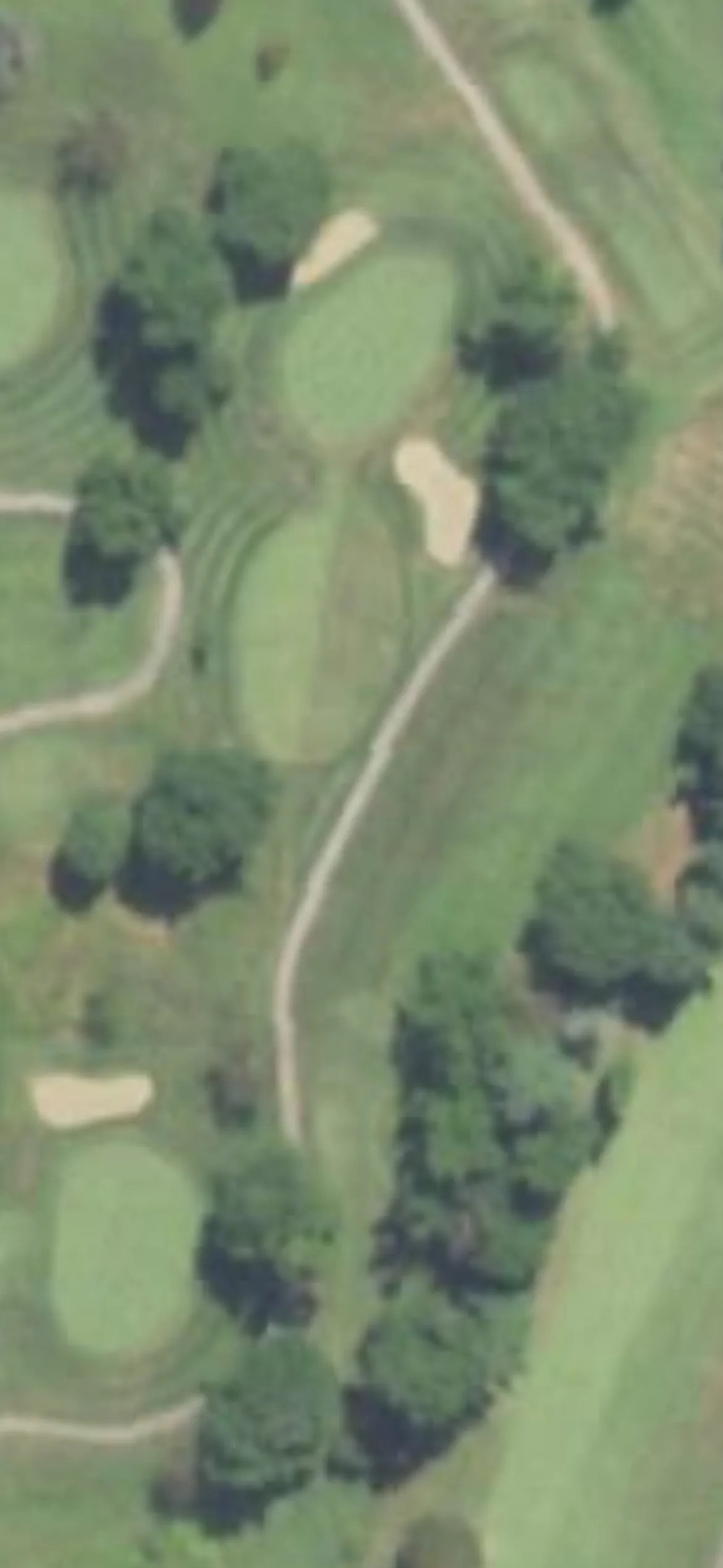 Tamarack Country Club hole 8 aerial preview, par 3, 164 yards