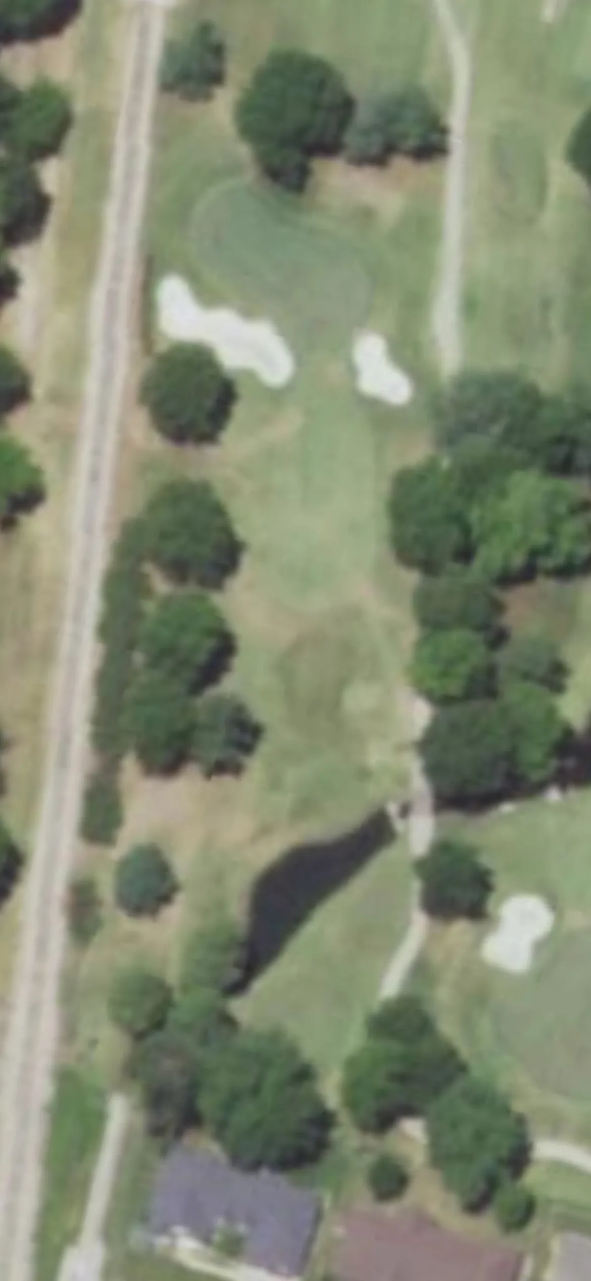 Twin Hills Golf & Country Club hole 8 aerial preview, par 3, 163 yards