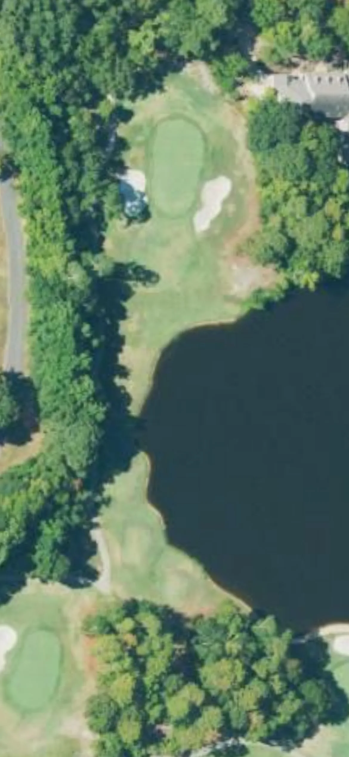 Canebrake Country Club - Canebrake Golf Club hole 12 aerial preview, par 3, 195 yards