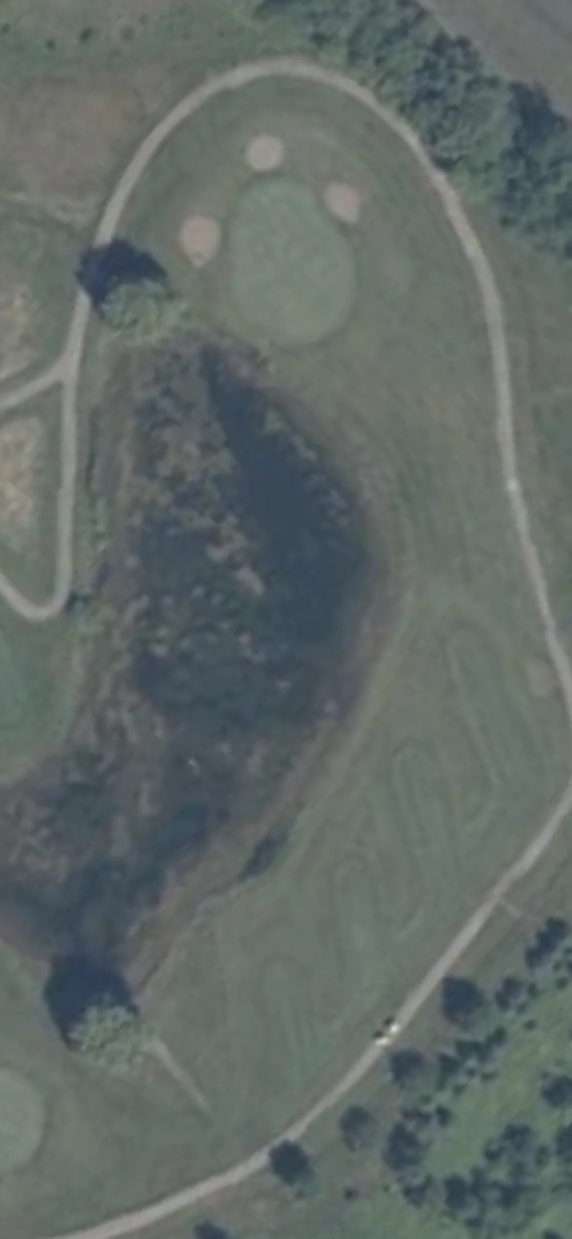 Meadow Valley Golf Club hole 15 aerial preview, par 3, 170 yards
