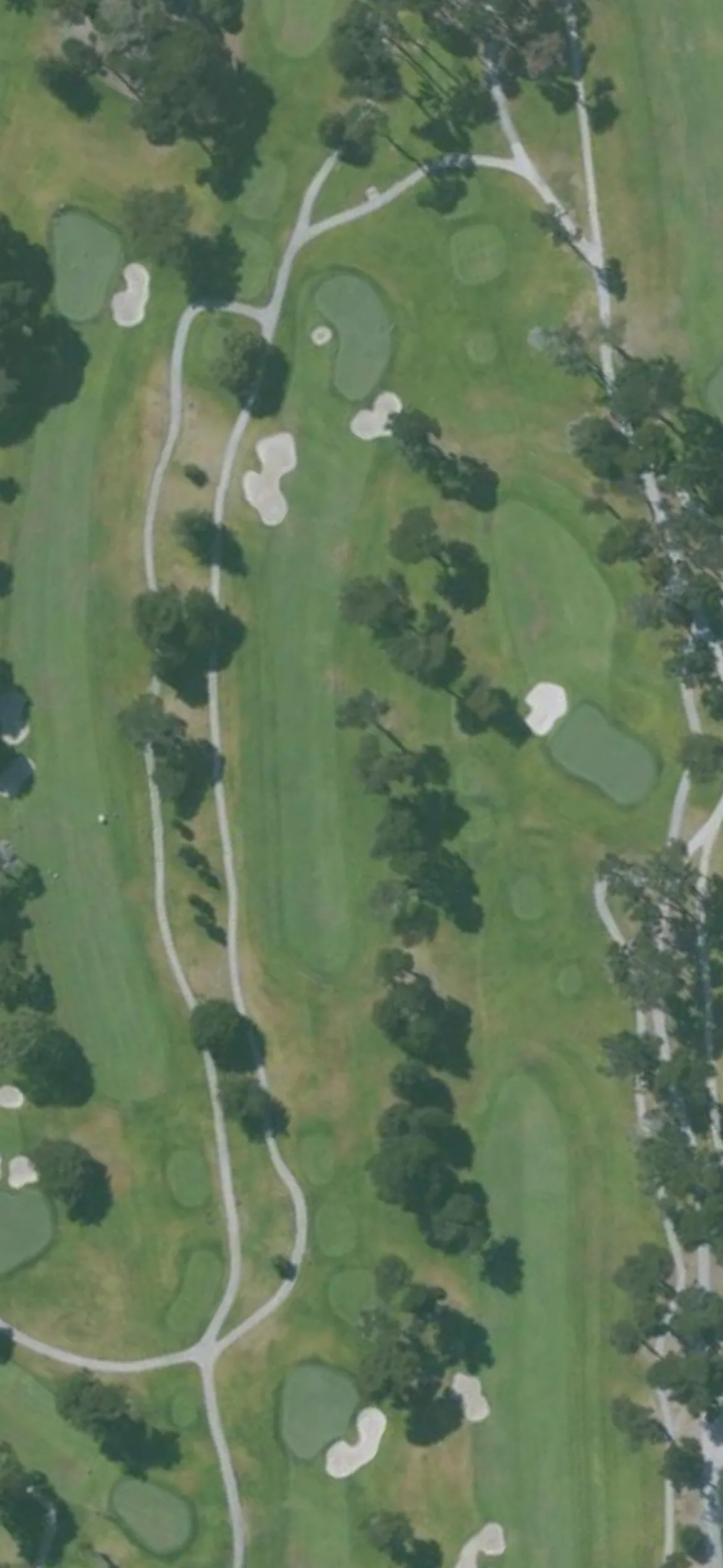 TPC Harding Park GC hole 7 aerial preview, par 4, 342 yards