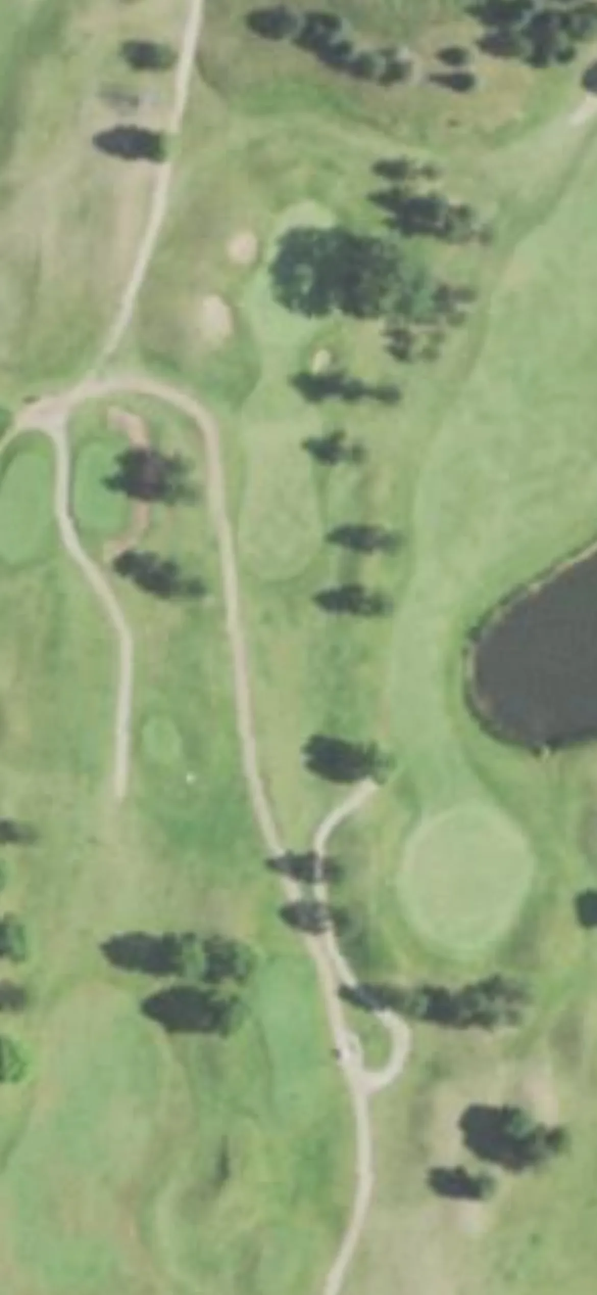 Par 4 Resort - Foxfire Golf Club hole 11 aerial preview, par 3, 229 yards