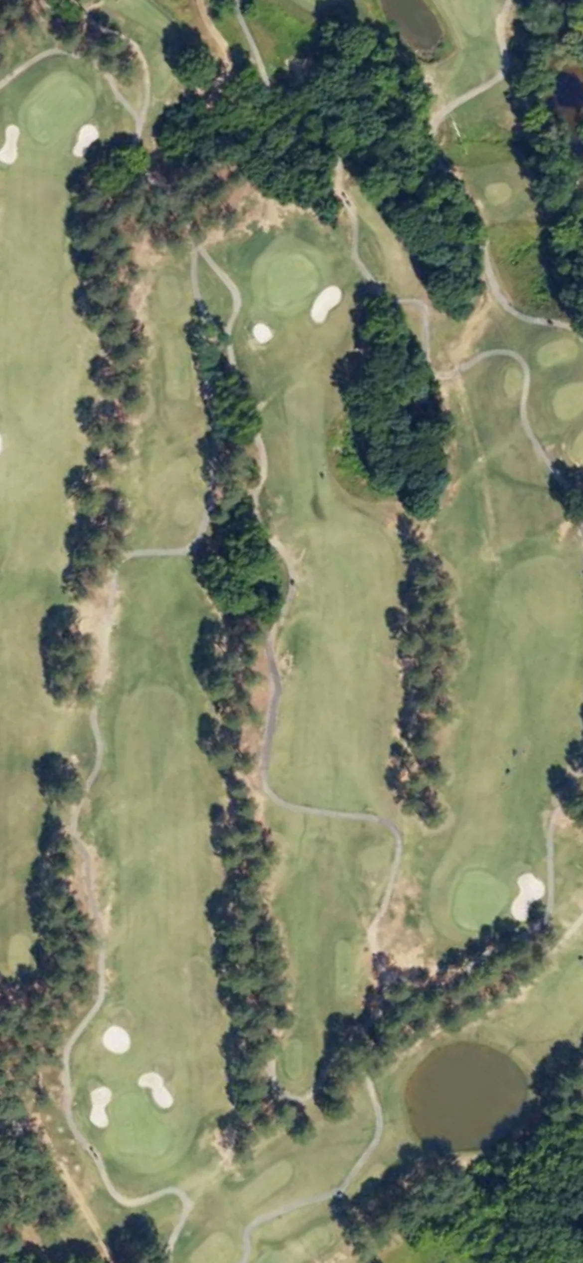 Eagle Chase GC hole 5 aerial preview, par 4, 383 yards