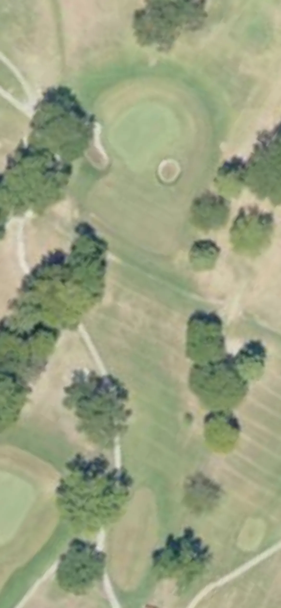 Greenville Country Club hole 14 aerial preview, par 3, 172 yards