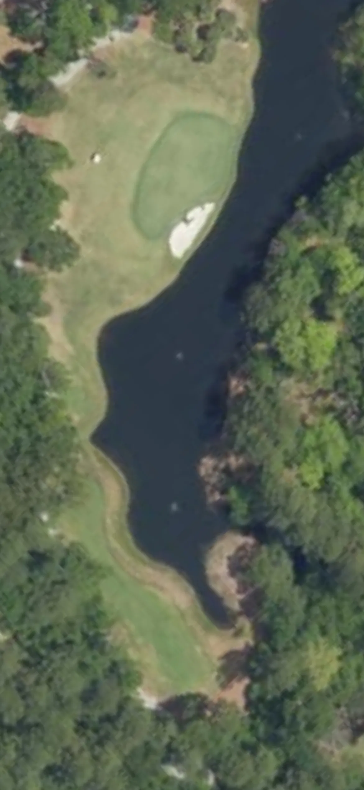Old Tabby Links hole 13 aerial preview, par 3, 180 yards