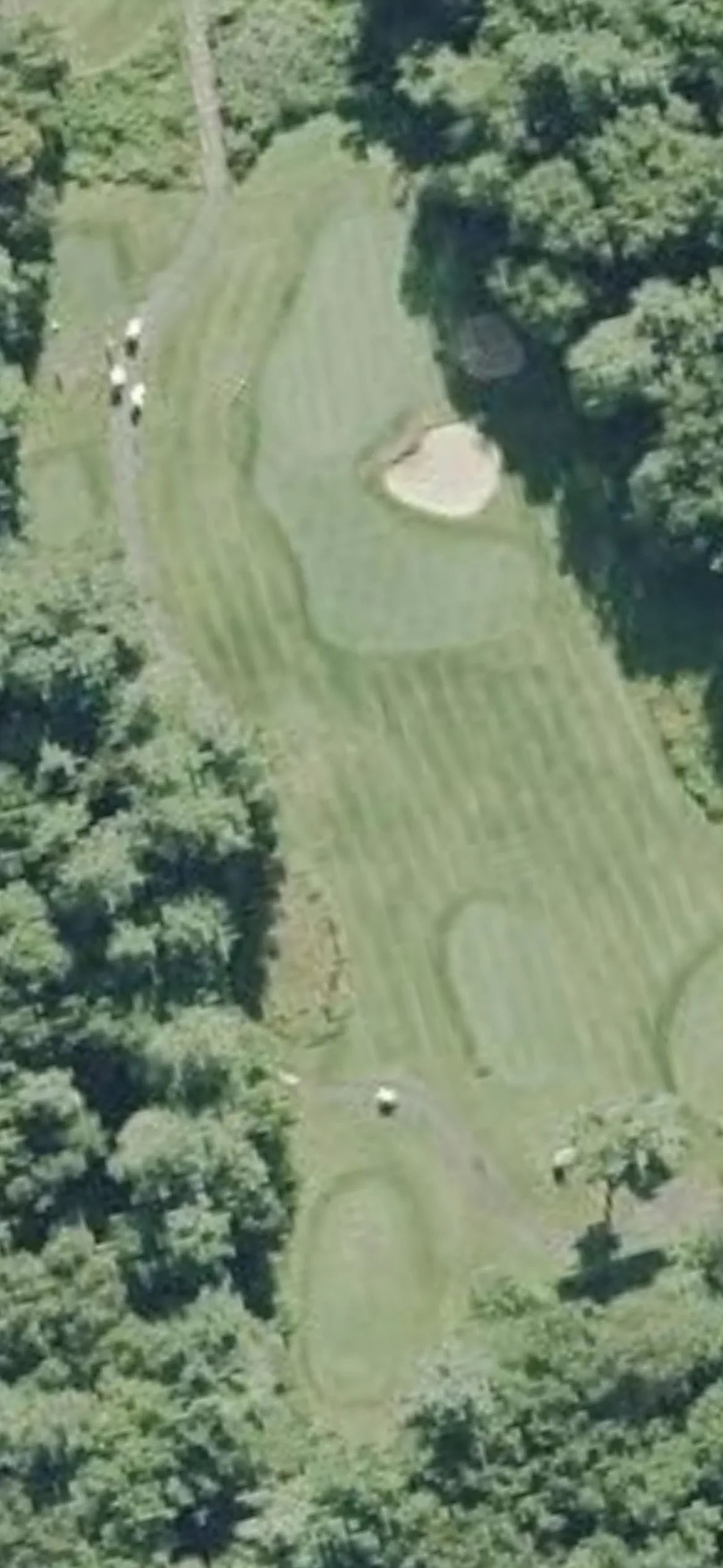 Olde Scotland Links hole 16 aerial preview, par 3, 137 yards