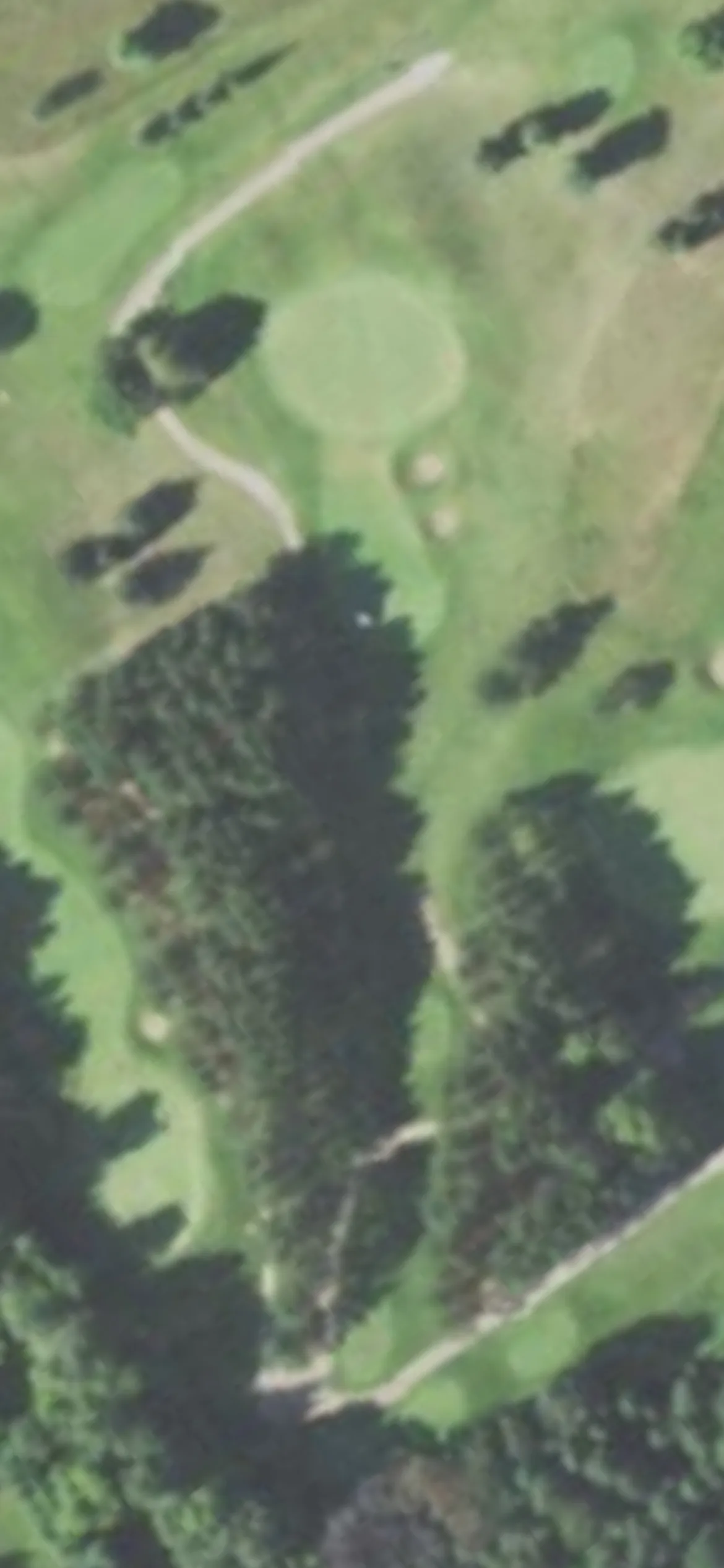 Par 4 Resort - Foxfire Golf Club hole 17 aerial preview, par 3, 186 yards