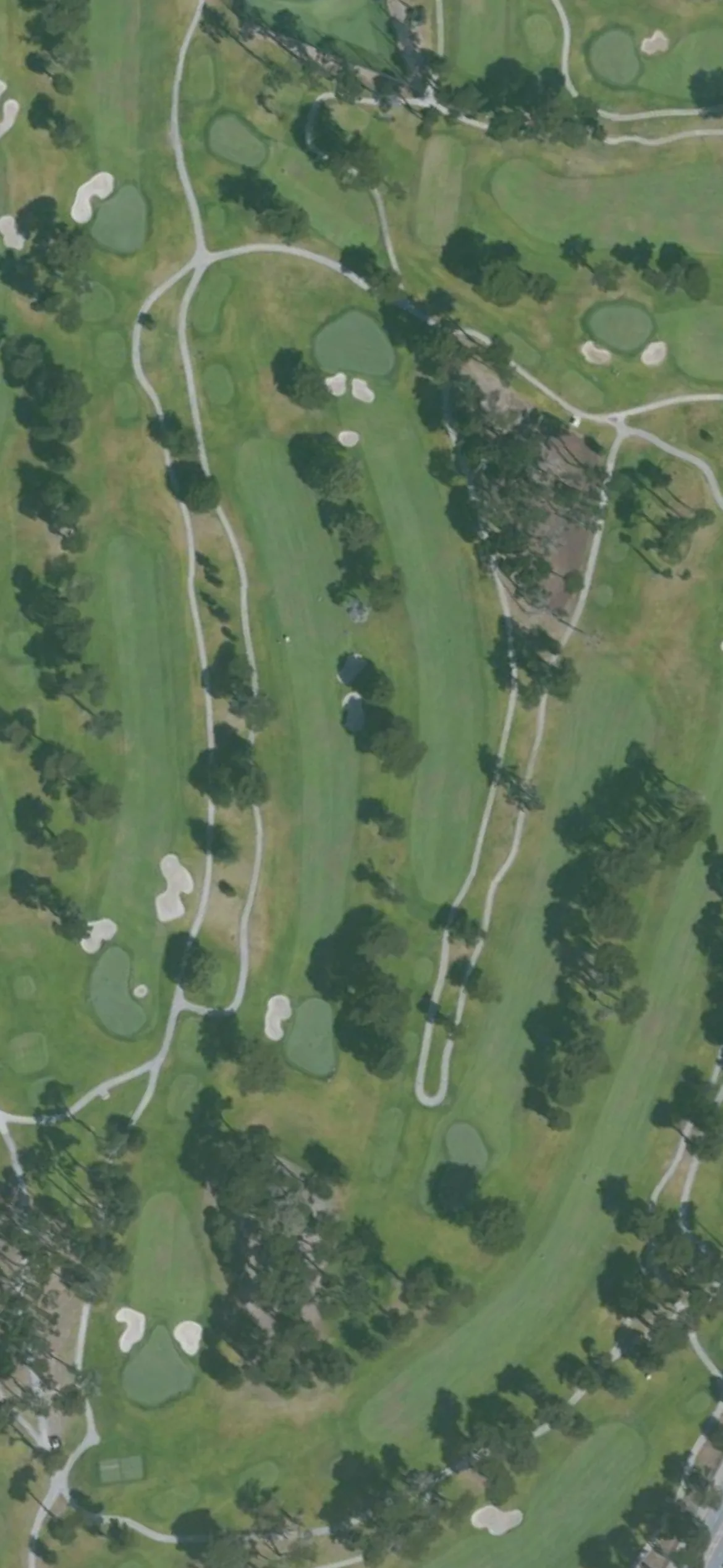 TPC Harding Park GC hole 6 aerial preview, par 4, 472 yards