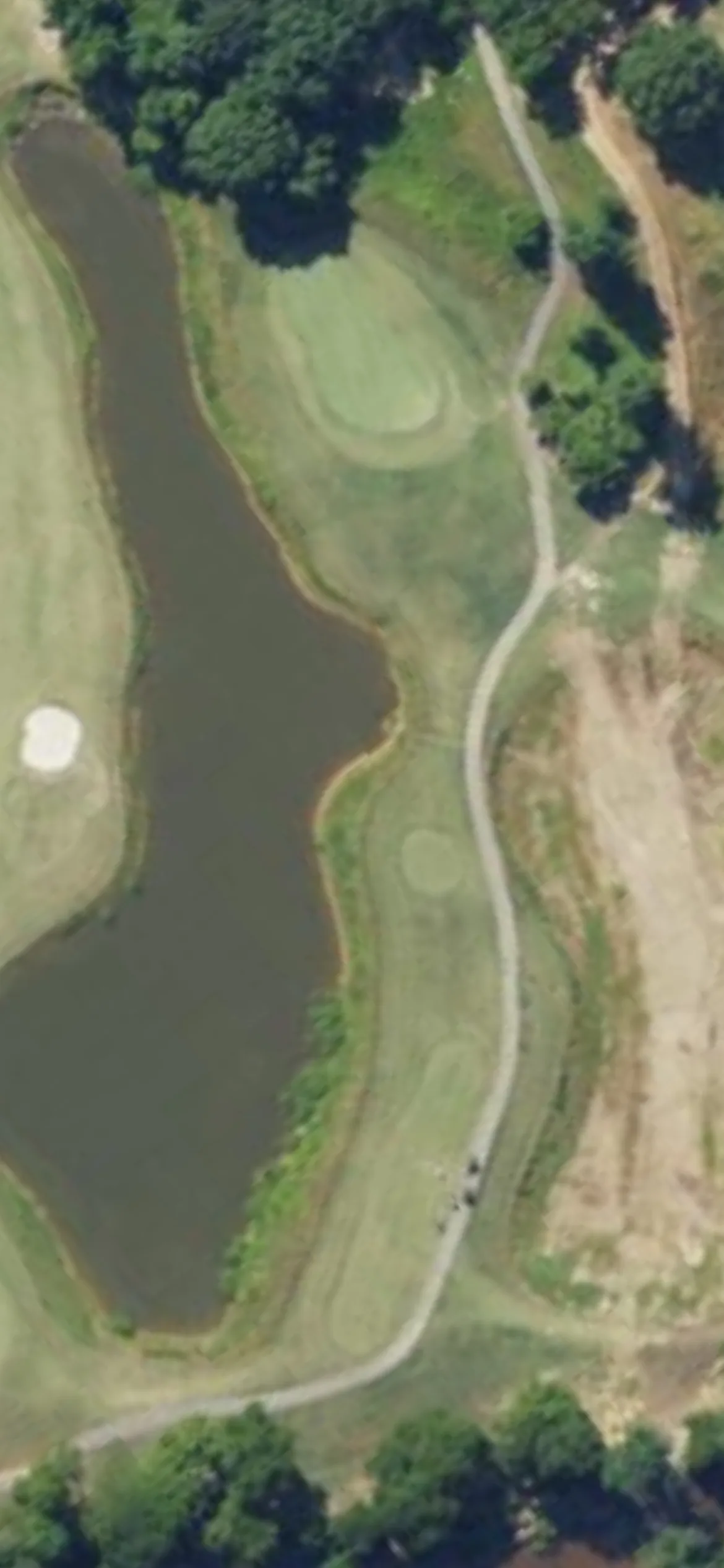 Eagle Chase GC hole 3 aerial preview, par 3, 175 yards