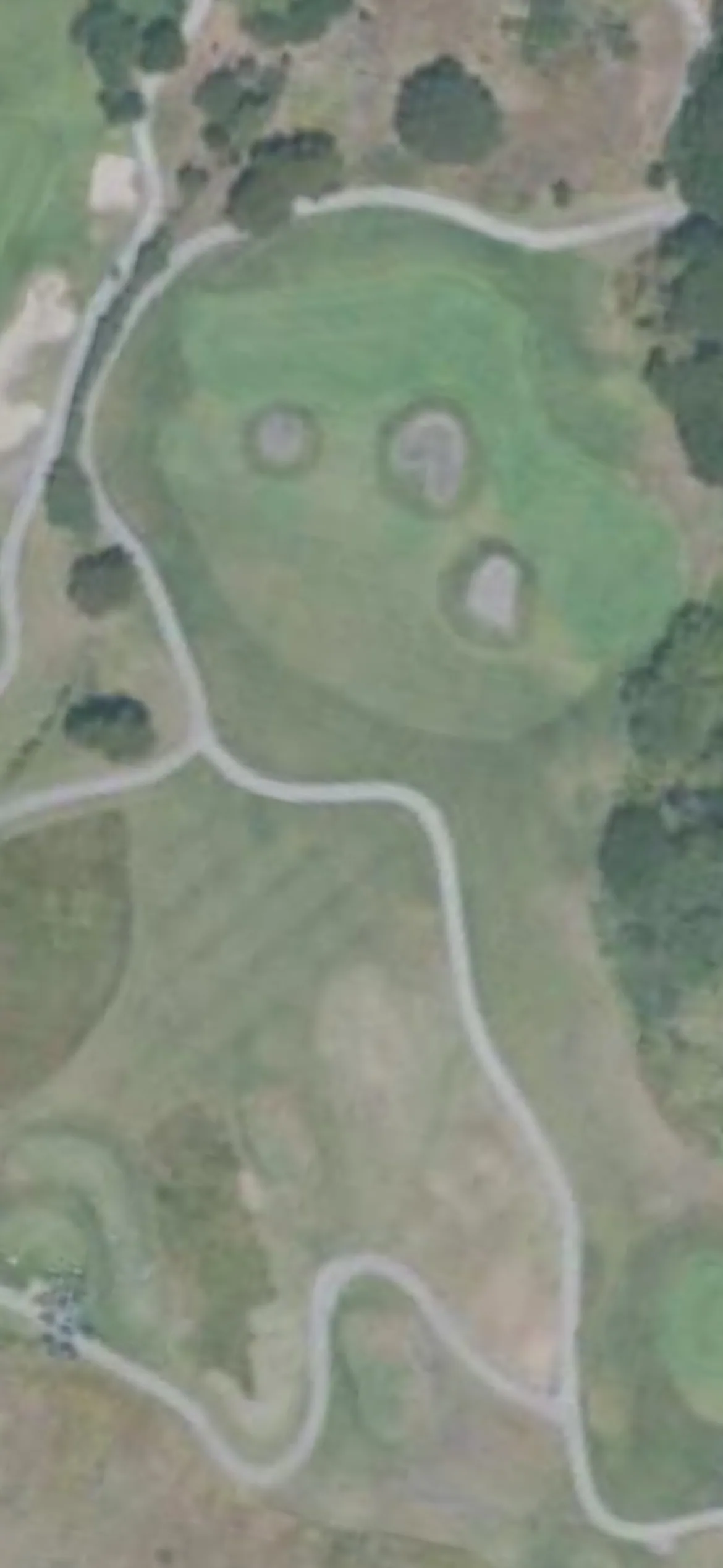 Chardonnay GC hole 8 aerial preview, par 3, 196 yards