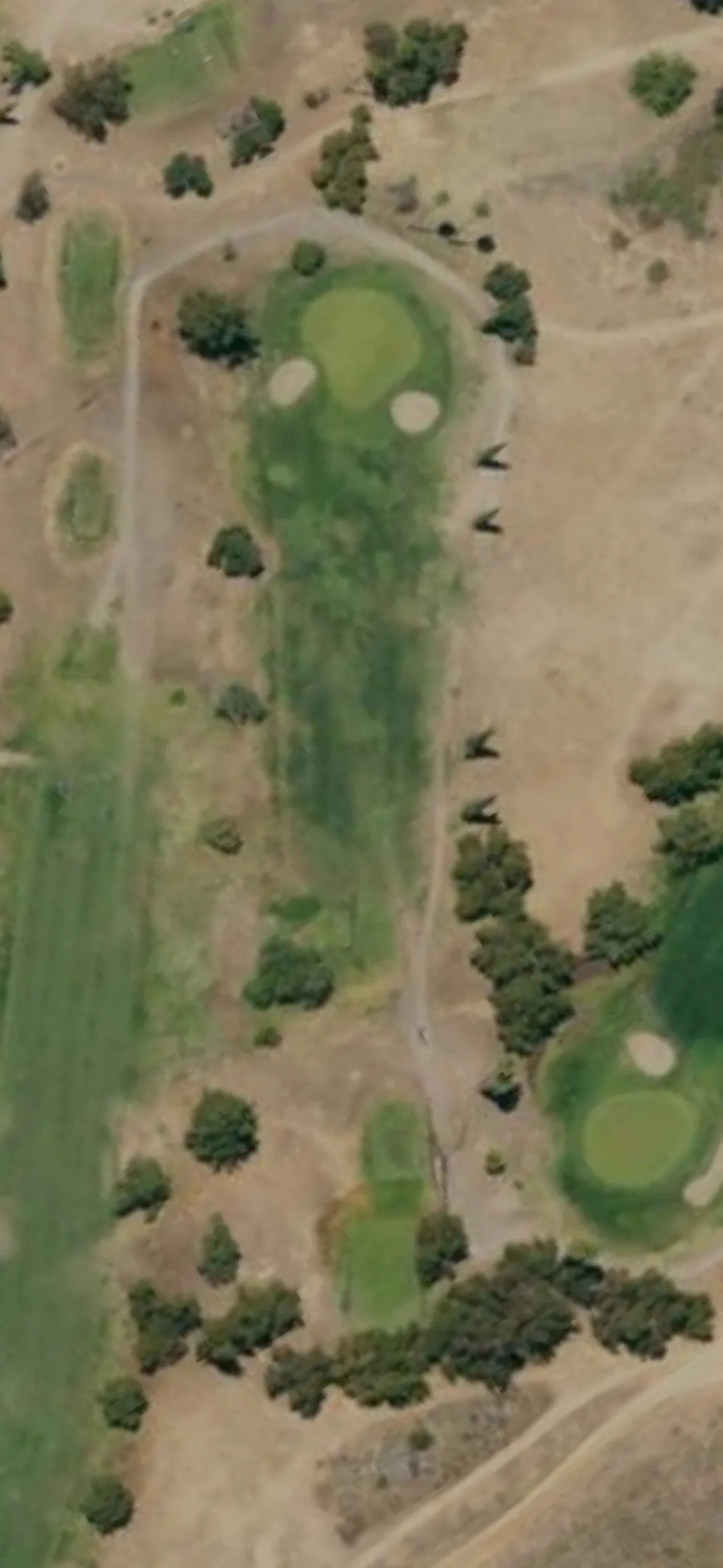 General Old Golf Course hole 2 aerial preview, par 3, 210 yards
