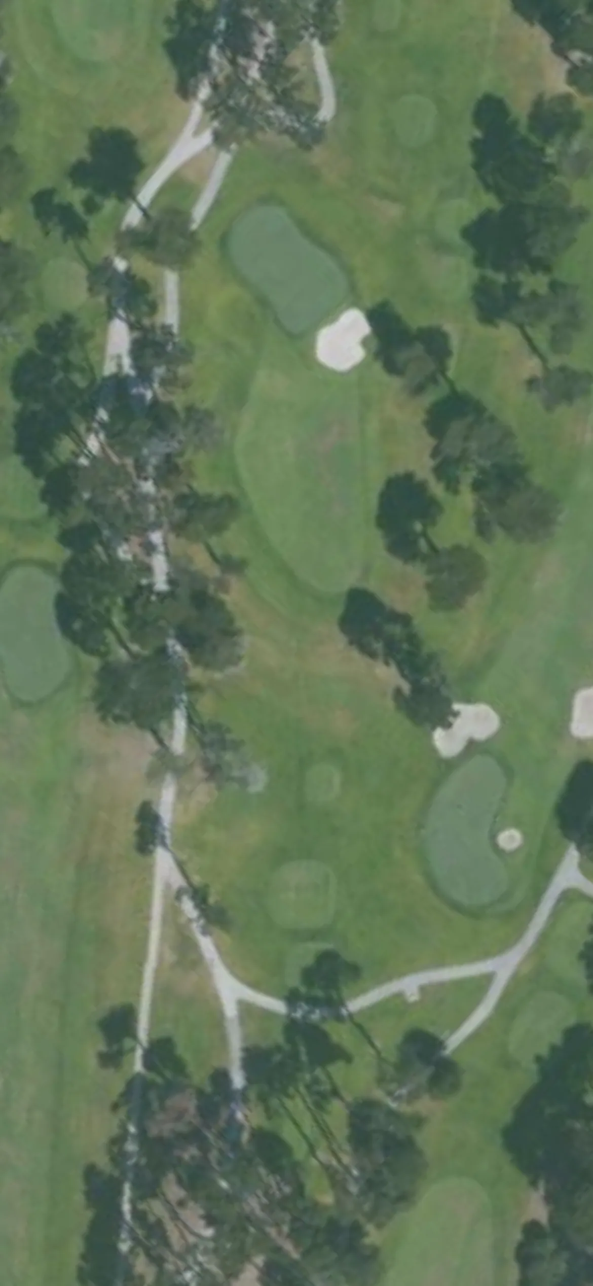 TPC Harding Park GC hole 8 aerial preview, par 3, 228 yards