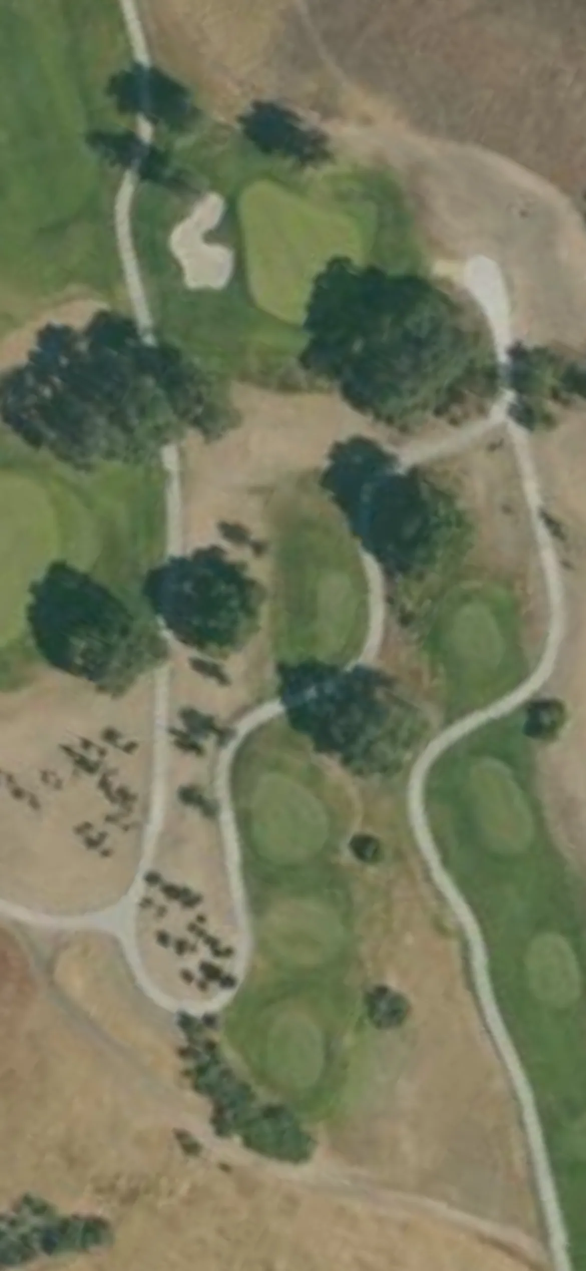 Coyote Creek GC - Tournament hole 5 aerial preview, par 3, 163 yards