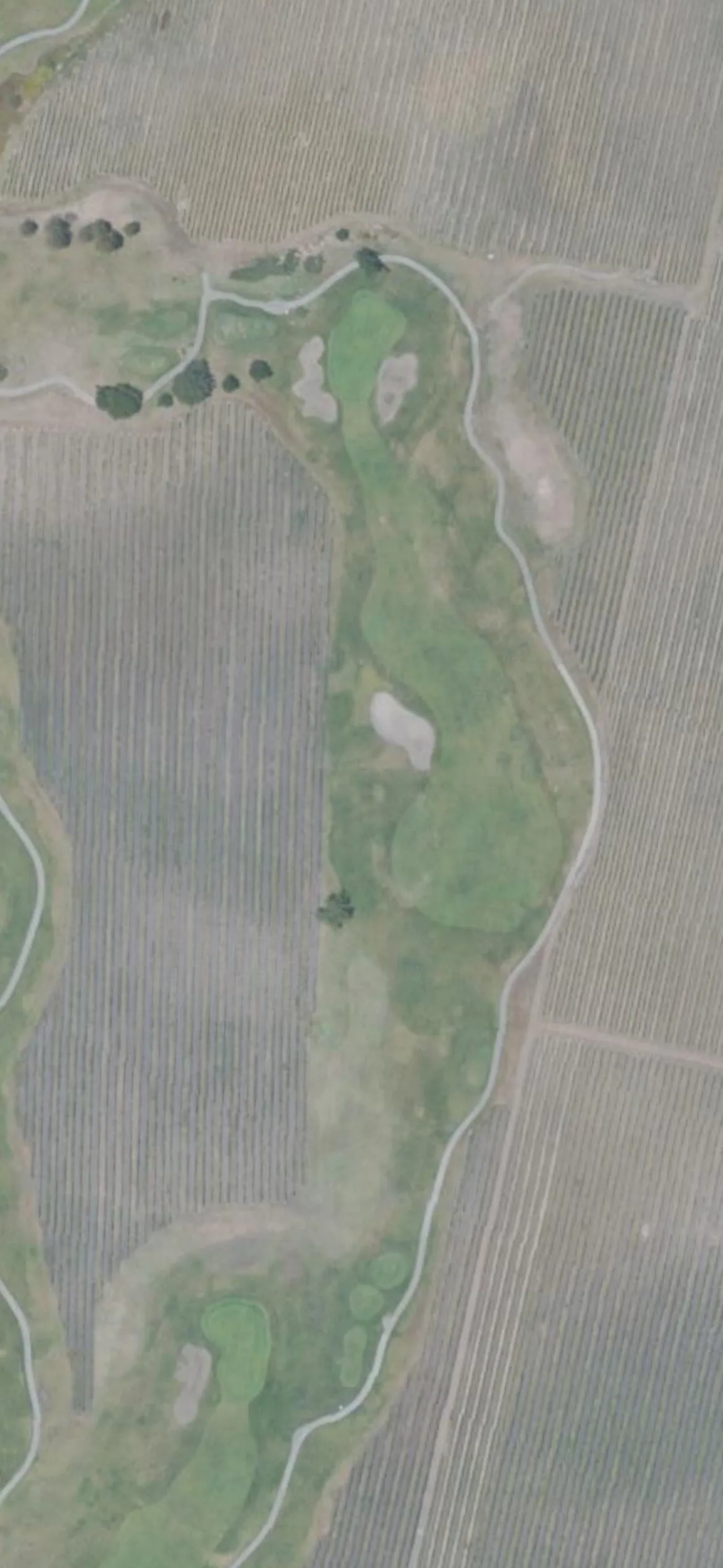 Chardonnay GC hole 2 aerial preview, par 4, 429 yards