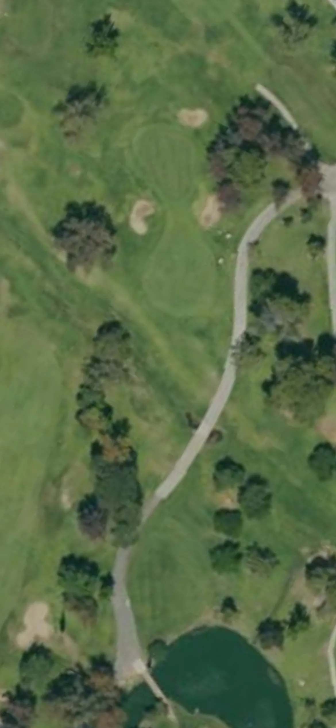 Vista Valencia Golf Club - Vista hole 18 aerial preview, par 3, 181 yards