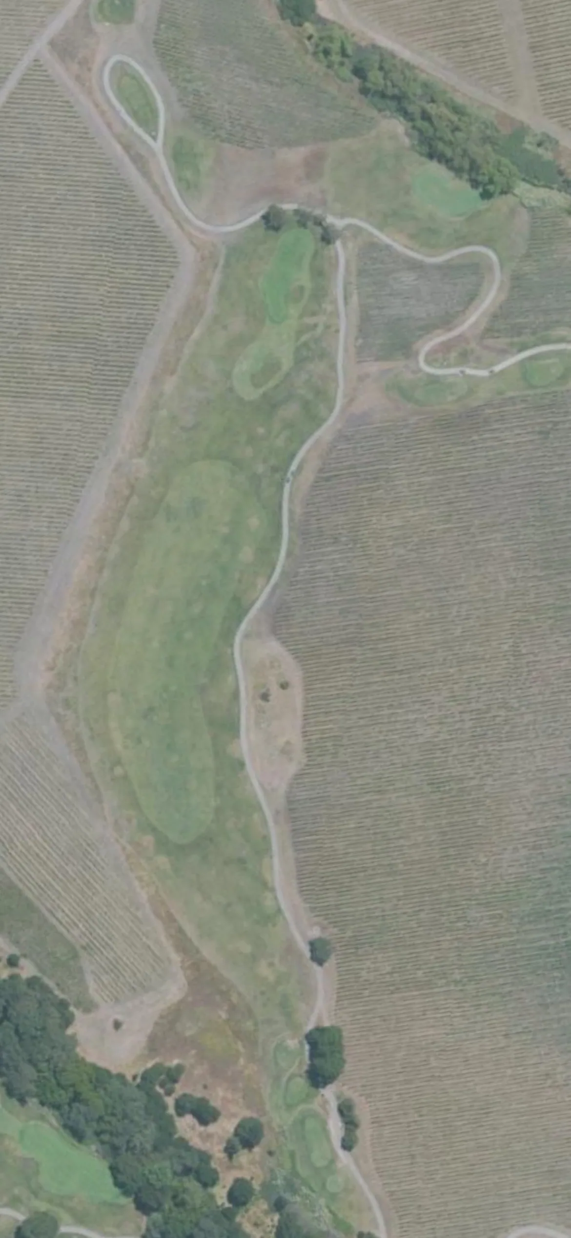 Chardonnay GC hole 6 aerial preview, par 4, 460 yards