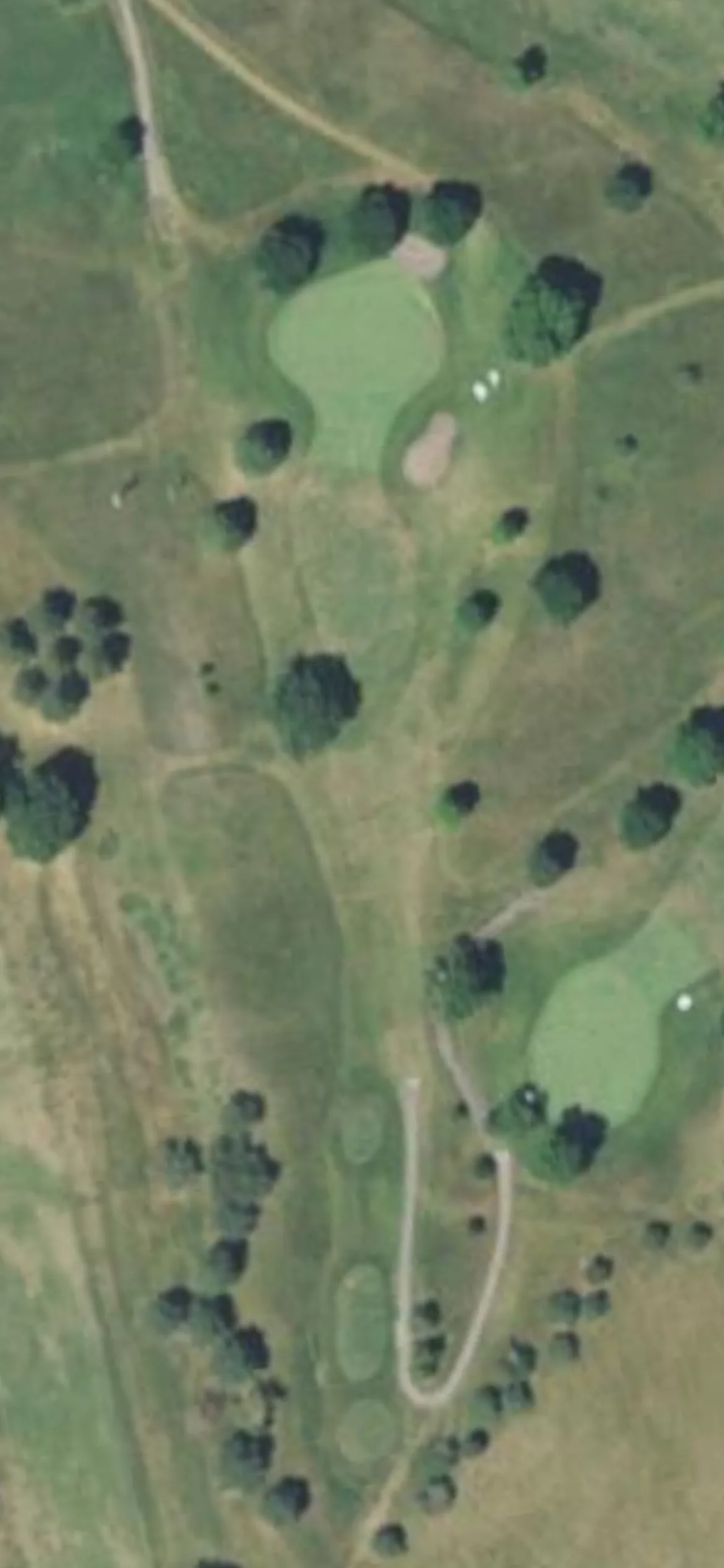 Montgomery National Golf Club hole 8 aerial preview, par 3, 216 yards