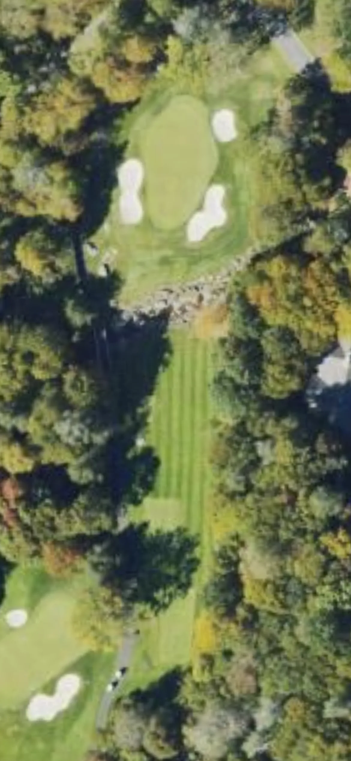 Grandfather G&CC - Grandfather hole 12 aerial preview, par 3, 174 yards