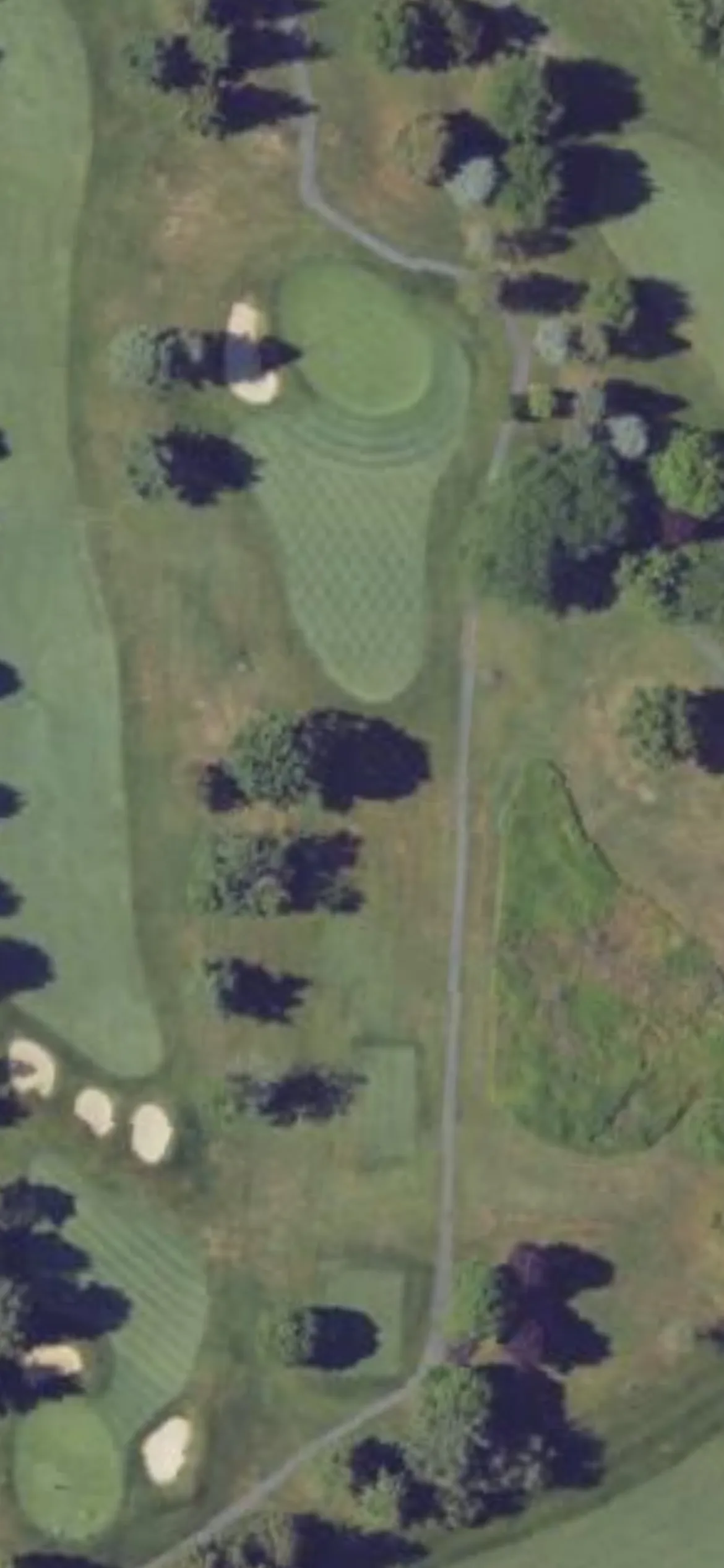 Colonial Golf & Tennis Club hole 7 aerial preview, par 3, 219 yards