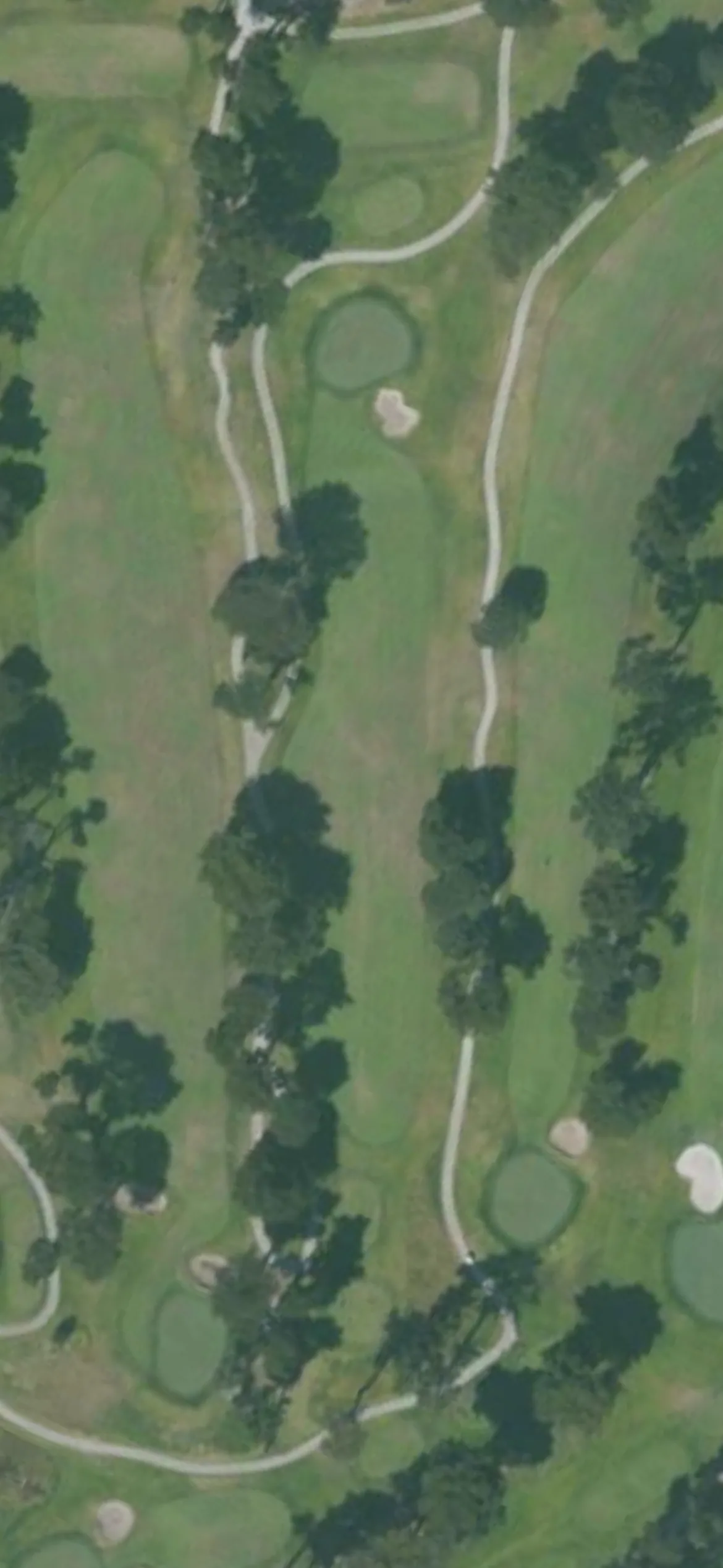 TPC Harding Park GC - Fleming hole 8 aerial preview, par 4, 259 yards
